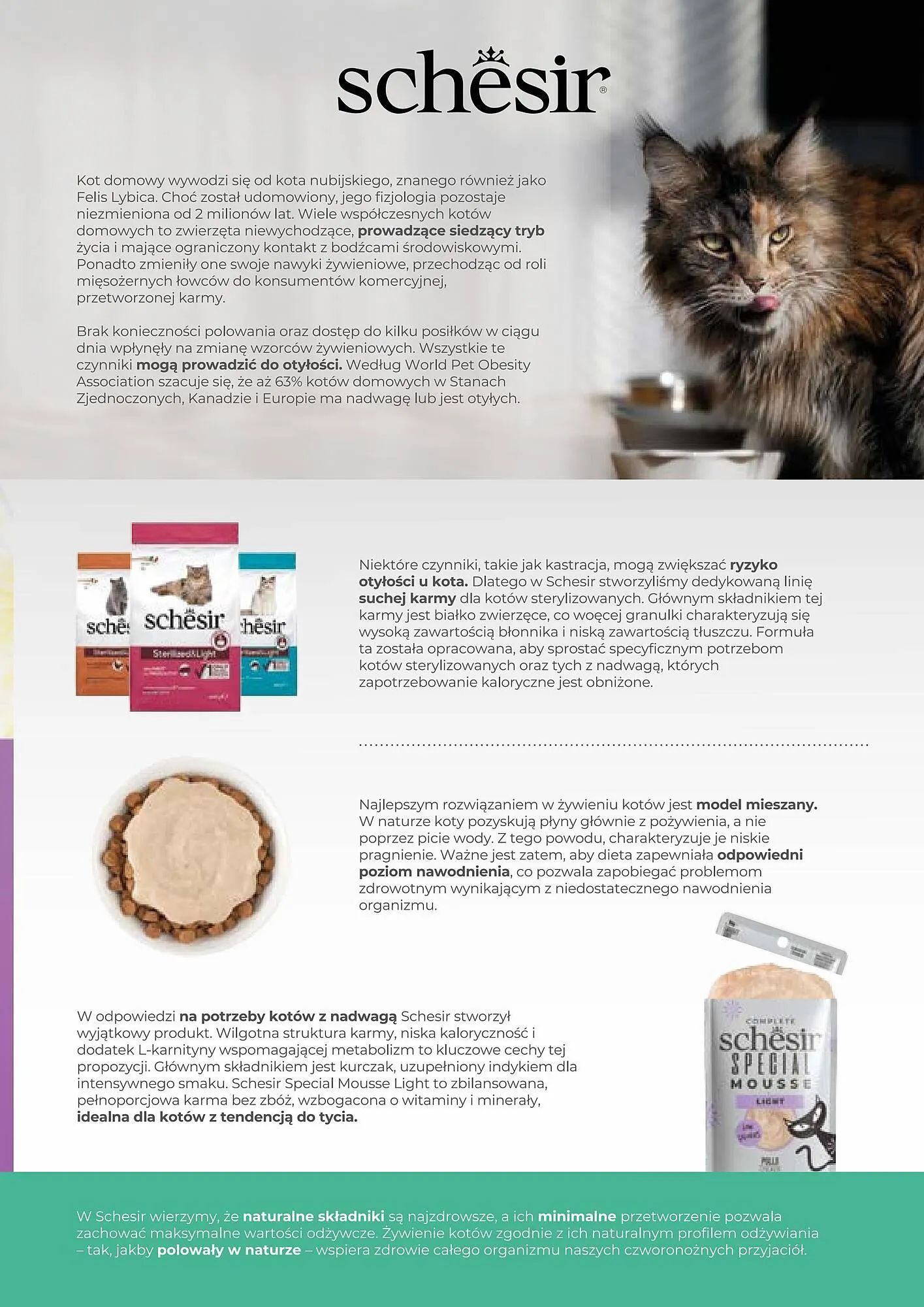 Gazetka Zoo Karina gazetka od 1 stycznia do 31 stycznia 2025 - Strona 15