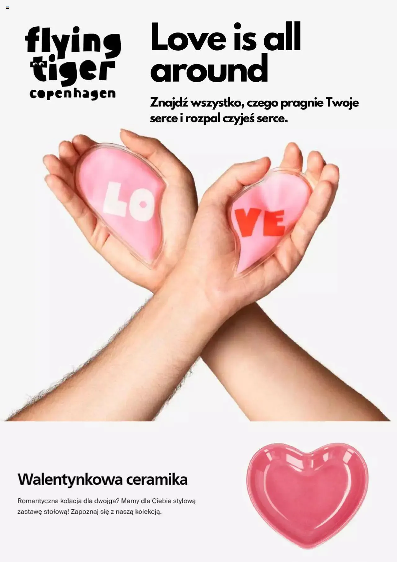 Flying Tiger - Gazetka - 0