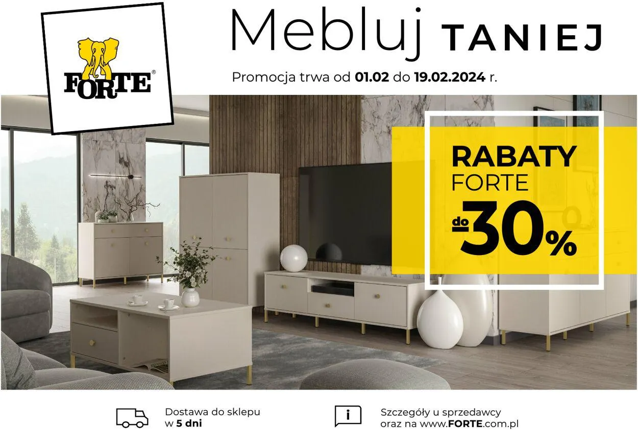 Gazetka Forte od 1 lutego do 19 lutego 2024 - Strona 
