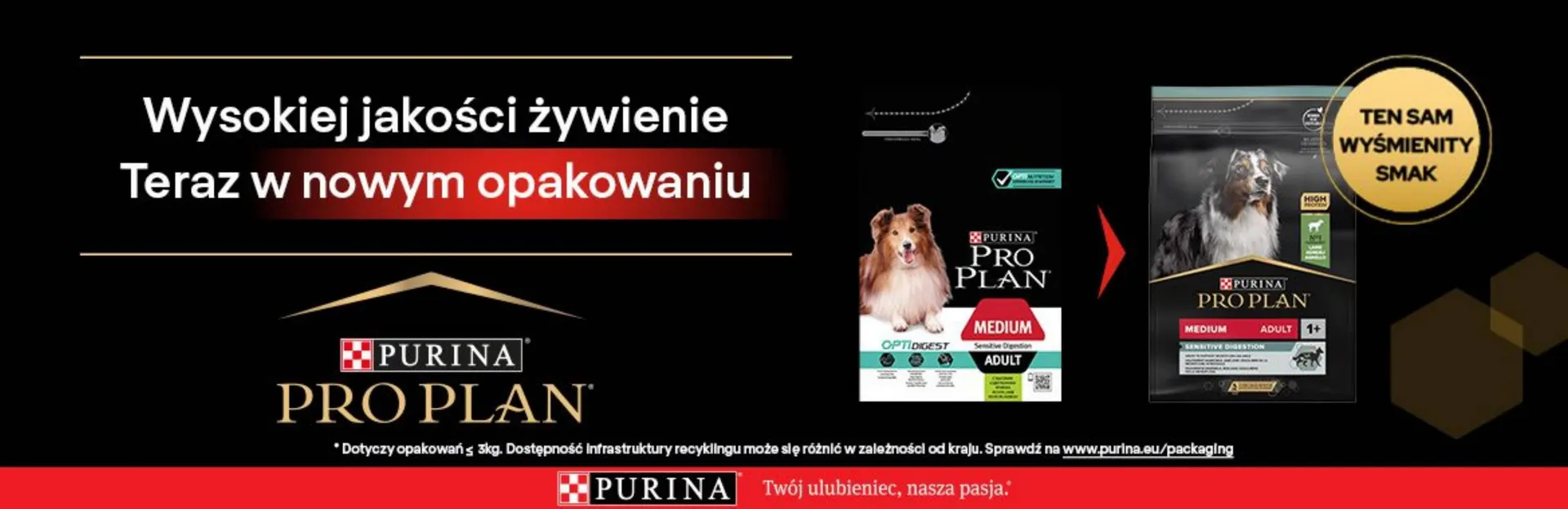 Gazetka Zoo Karina gazetka od 10 lipca do 31 lipca 2023 - Strona 2