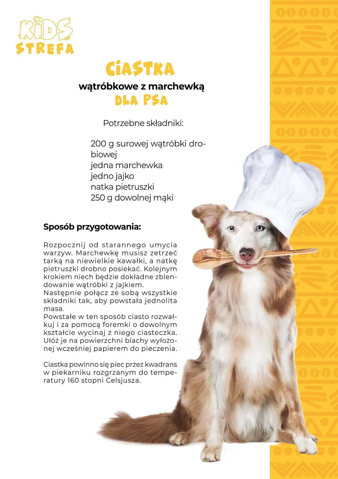 Gazetka Zoo Karina gazetka od 1 stycznia do 31 stycznia 2025 - Strona 17