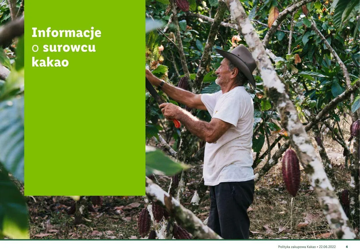 Gazetka LIDL Aktualna gazetka od 22 sierpnia do 1 stycznia 2026 - Strona 5