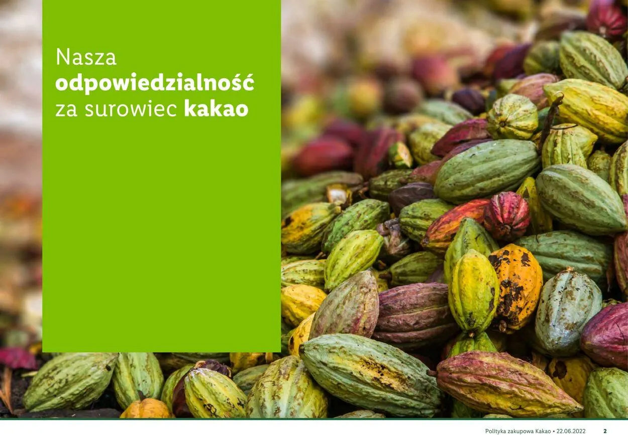 Gazetka LIDL Aktualna gazetka od 22 sierpnia do 1 stycznia 2026 - Strona 3