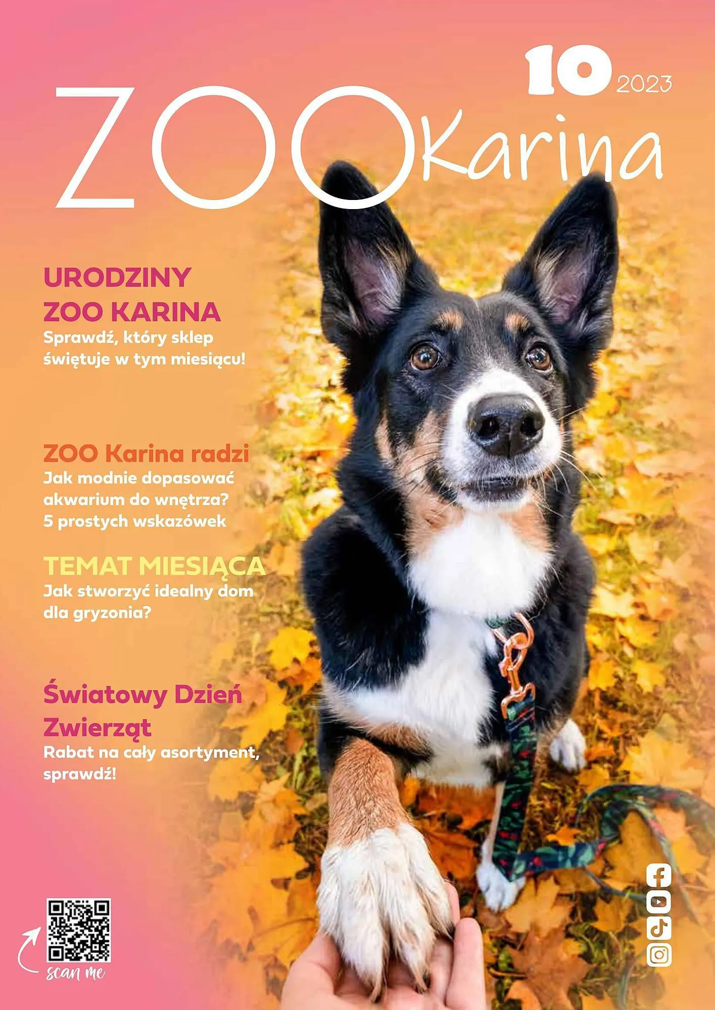 Zoo Karina gazetka - 1