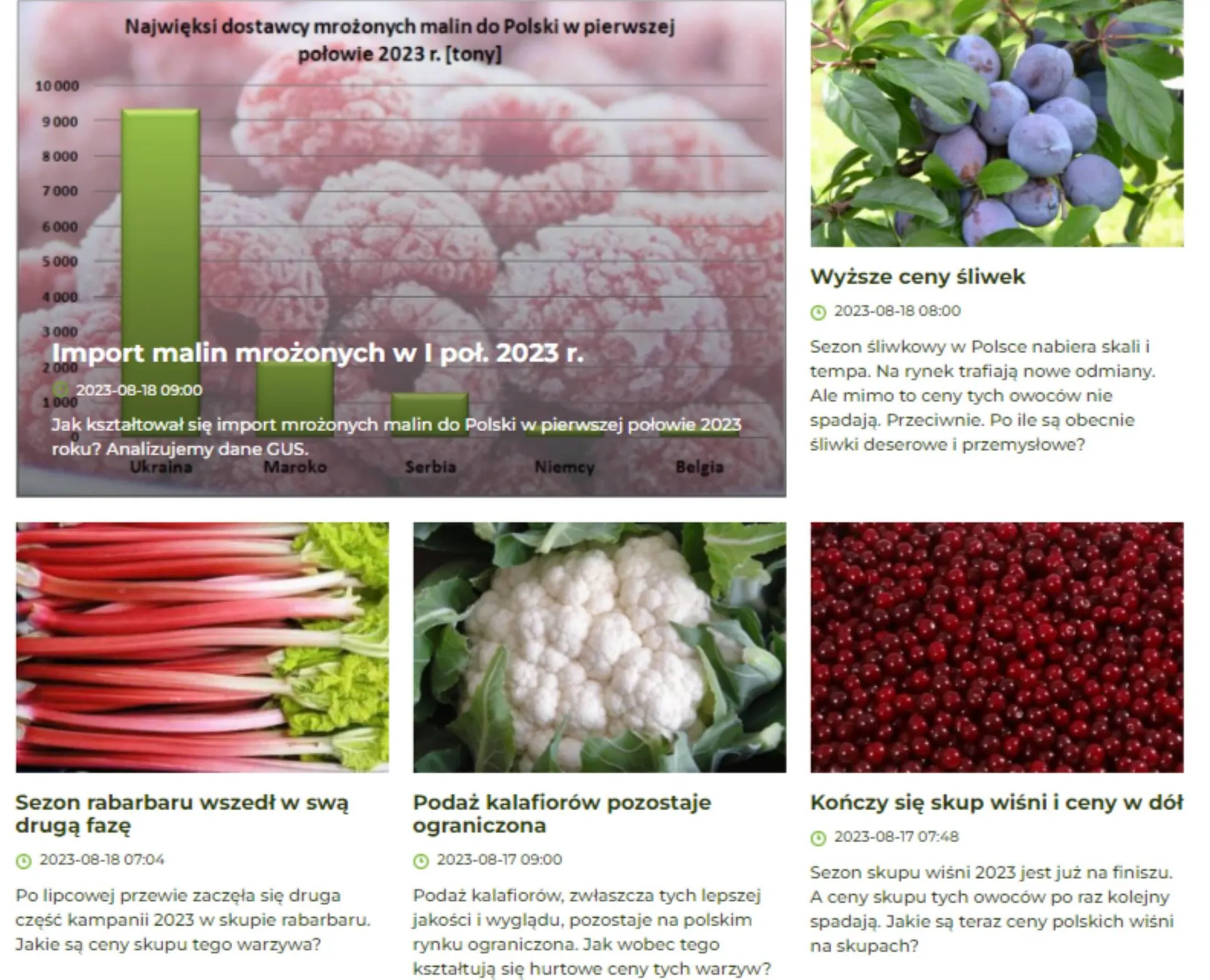 Fresh-market gazetka - 1