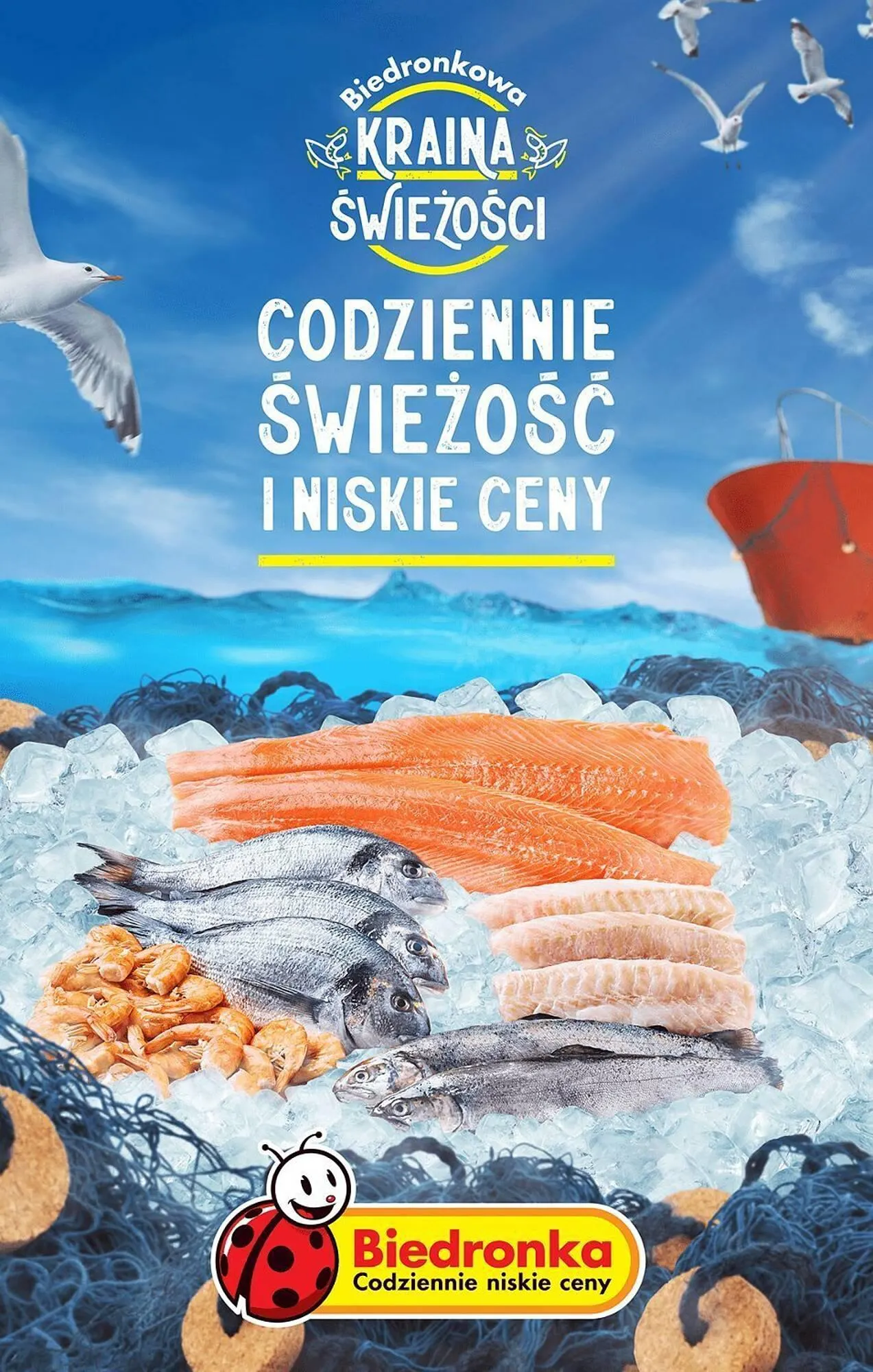 Gazetka Biedronka gazetka od 25 września do 30 września 2023 - Strona 28