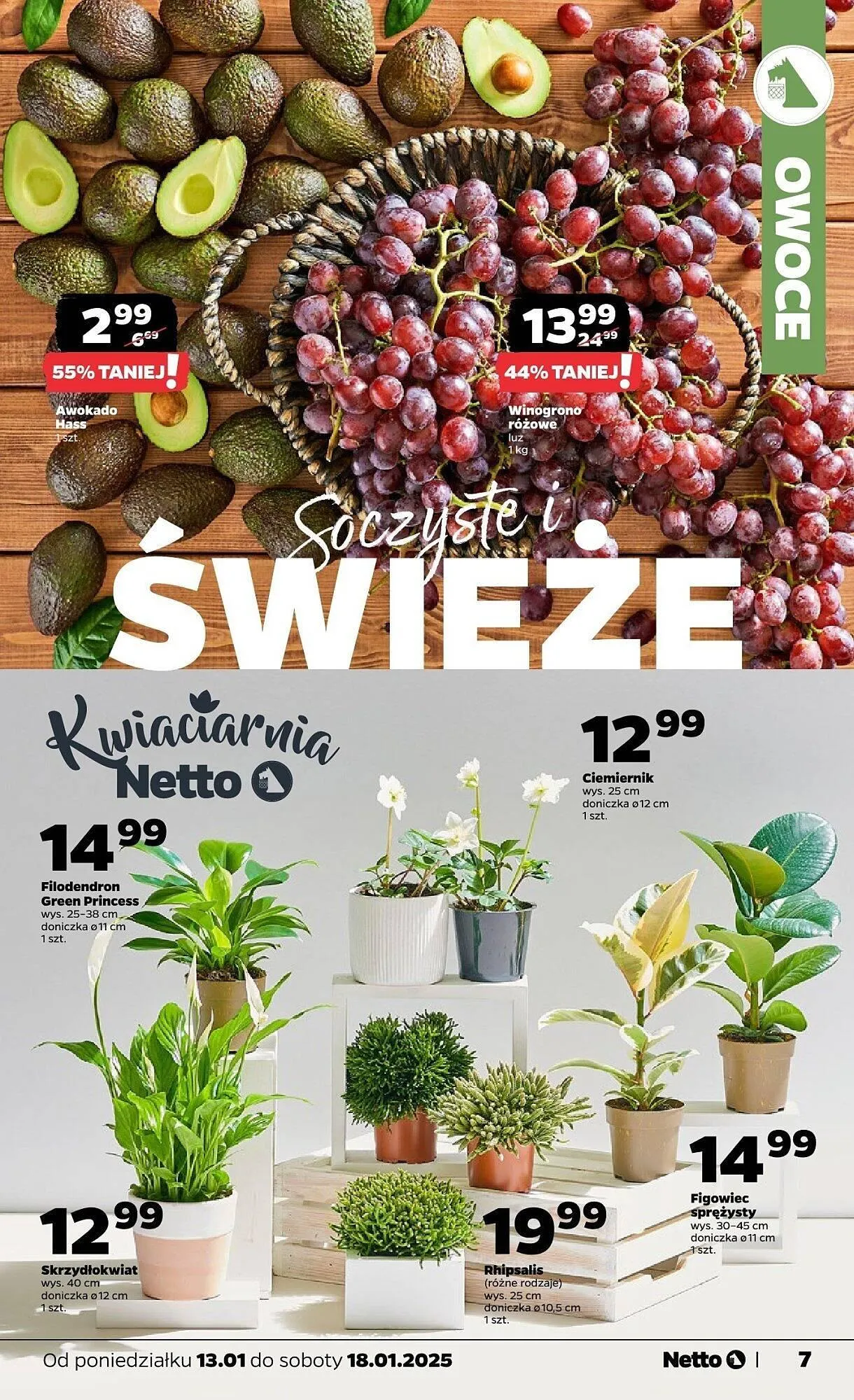 Gazetka Netto gazetka od 13 stycznia do 18 stycznia 2025 - Strona 7
