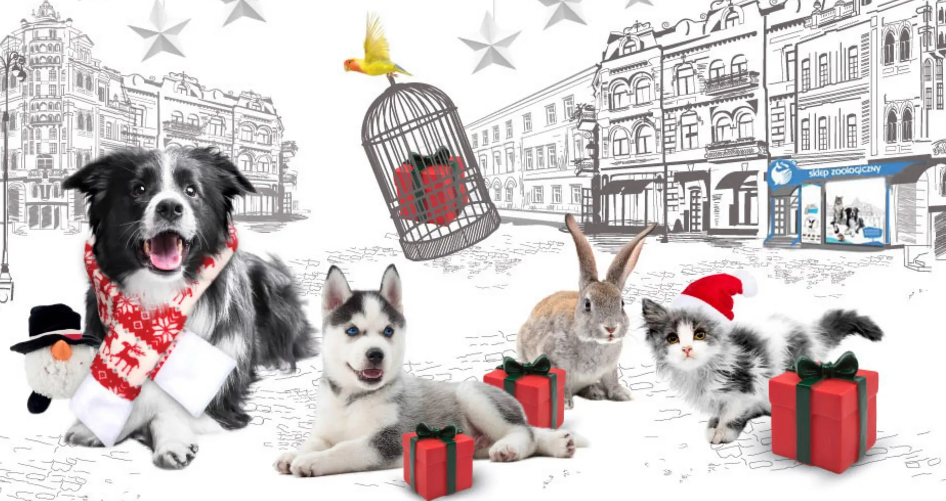 Gazetka Moby Dick gazetka od 2 stycznia do 8 stycznia 2024 - Strona