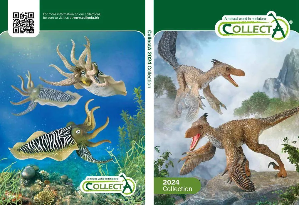 Collection 2024  - 1