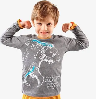 T-shirt z długim rękawem dla chłopca, z niedźwiedziem, szary 4-8 lat