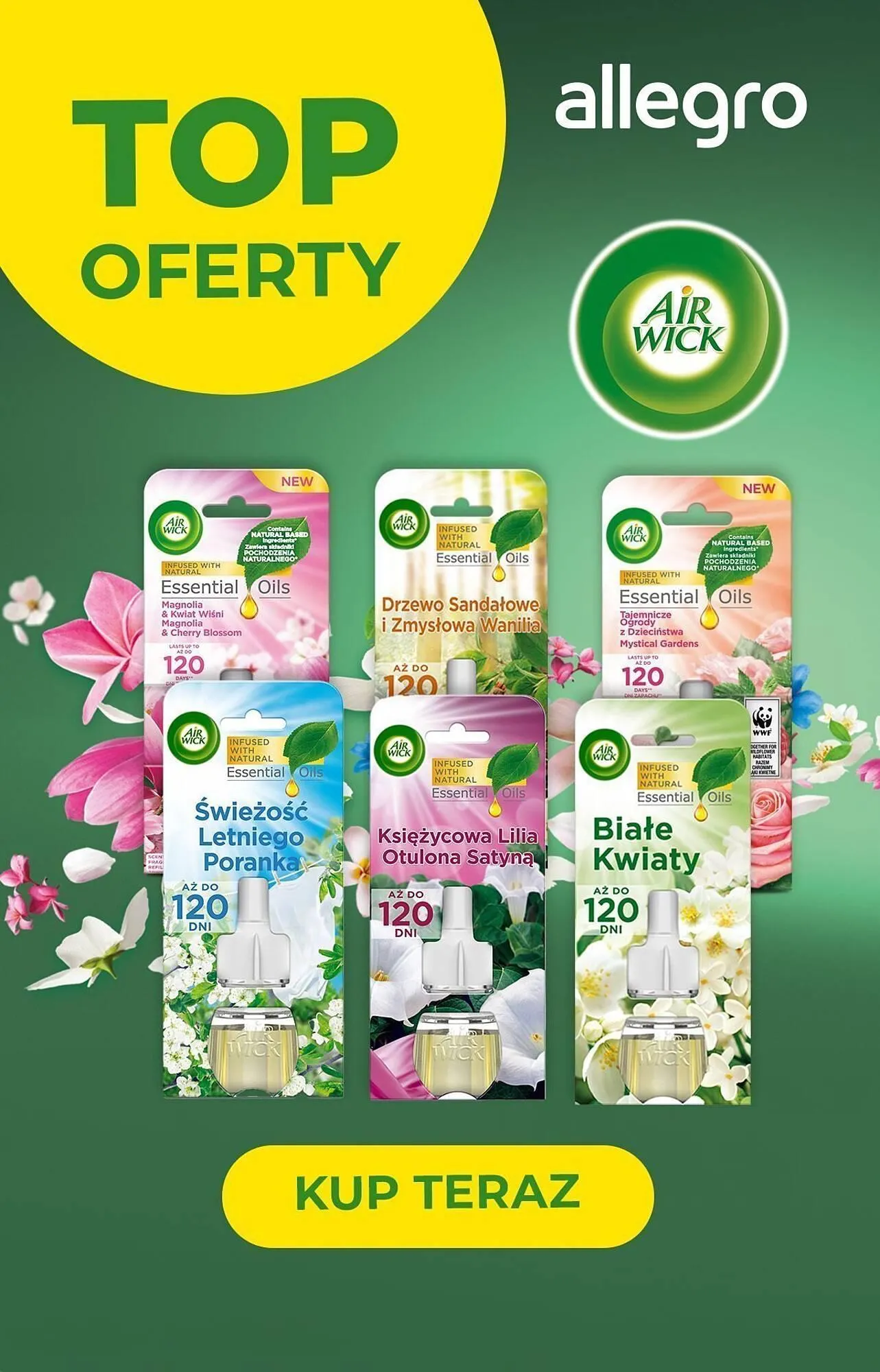 Gazetka Allegro gazetka od 11 marca do 31 marca 2024 - Strona