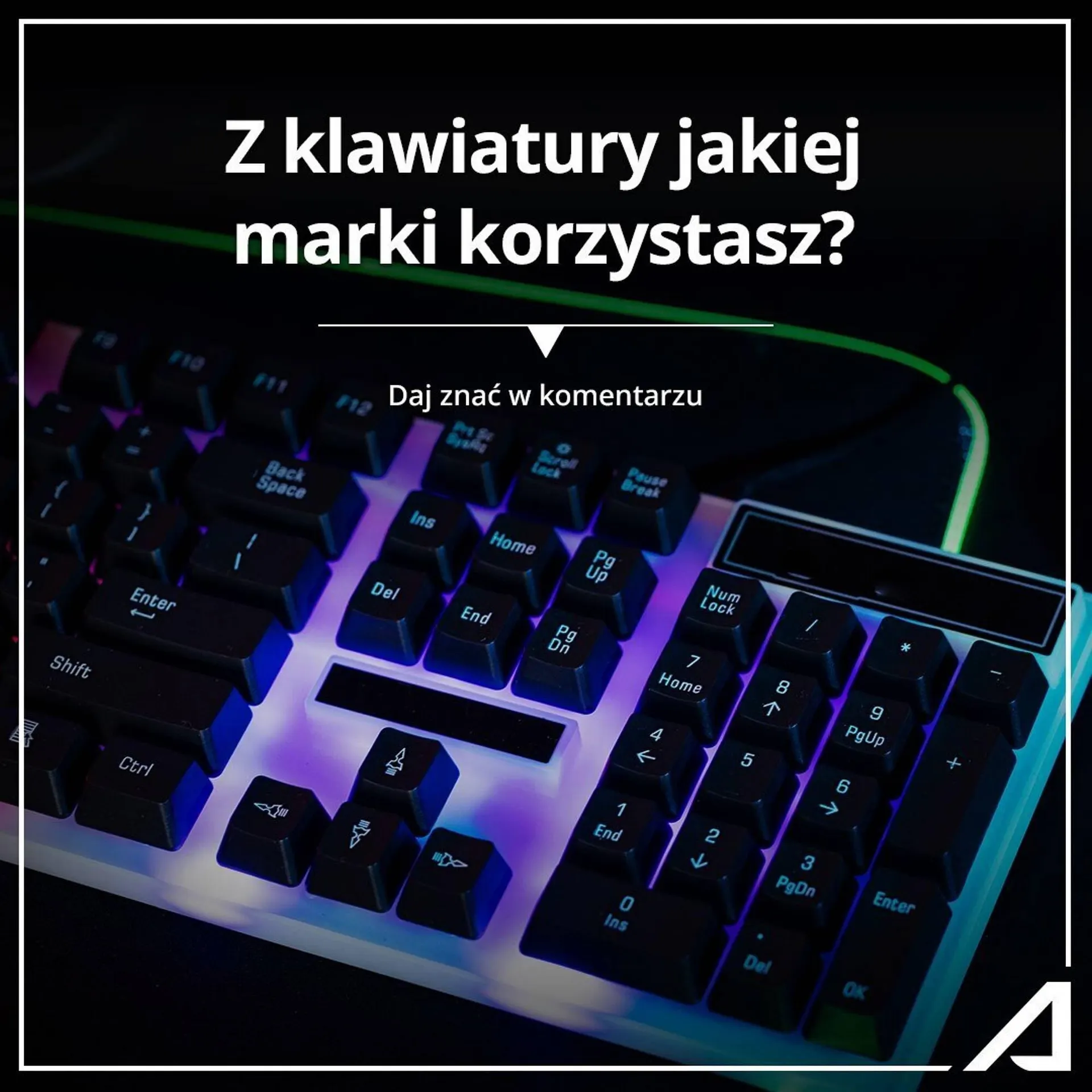 Alsen gazetka - 1