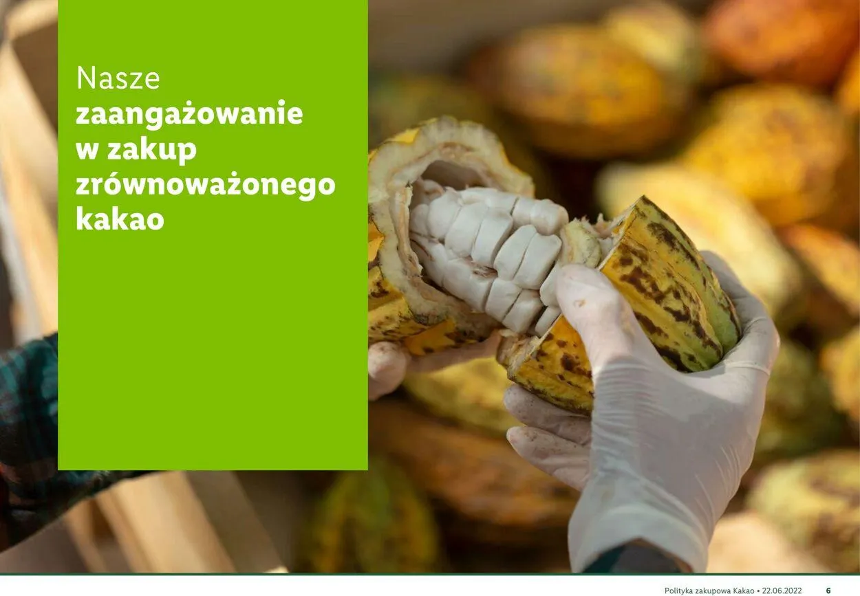 Gazetka LIDL Aktualna gazetka od 22 sierpnia do 1 stycznia 2026 - Strona 7