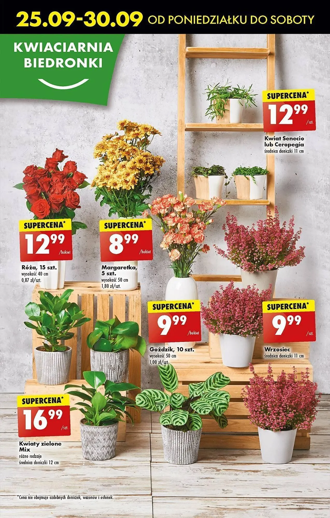 Gazetka Biedronka gazetka od 25 września do 30 września 2023 - Strona 51