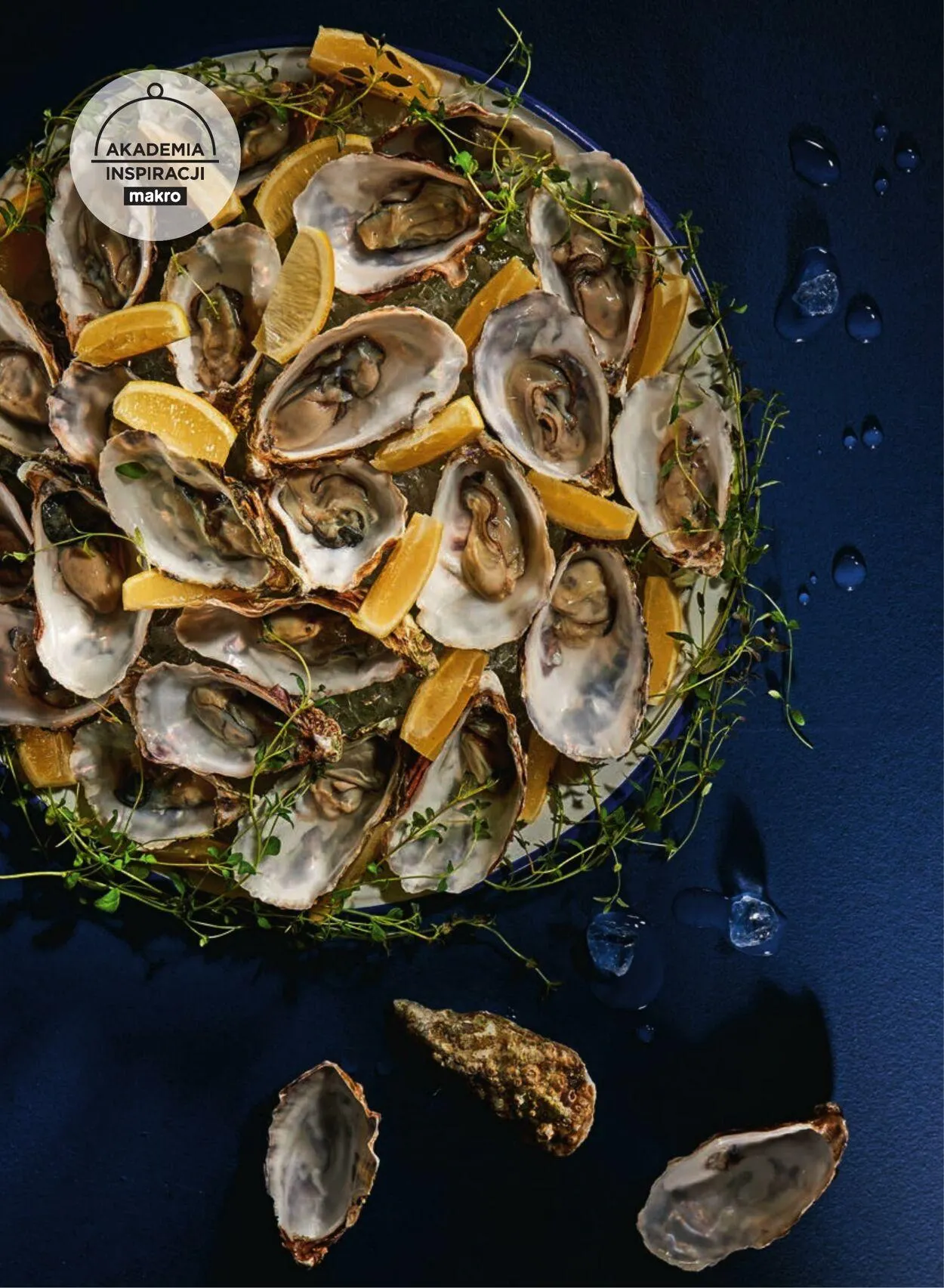 Gazetka Makro Aktualna gazetka od 6 stycznia do 20 stycznia 2025 - Strona 10