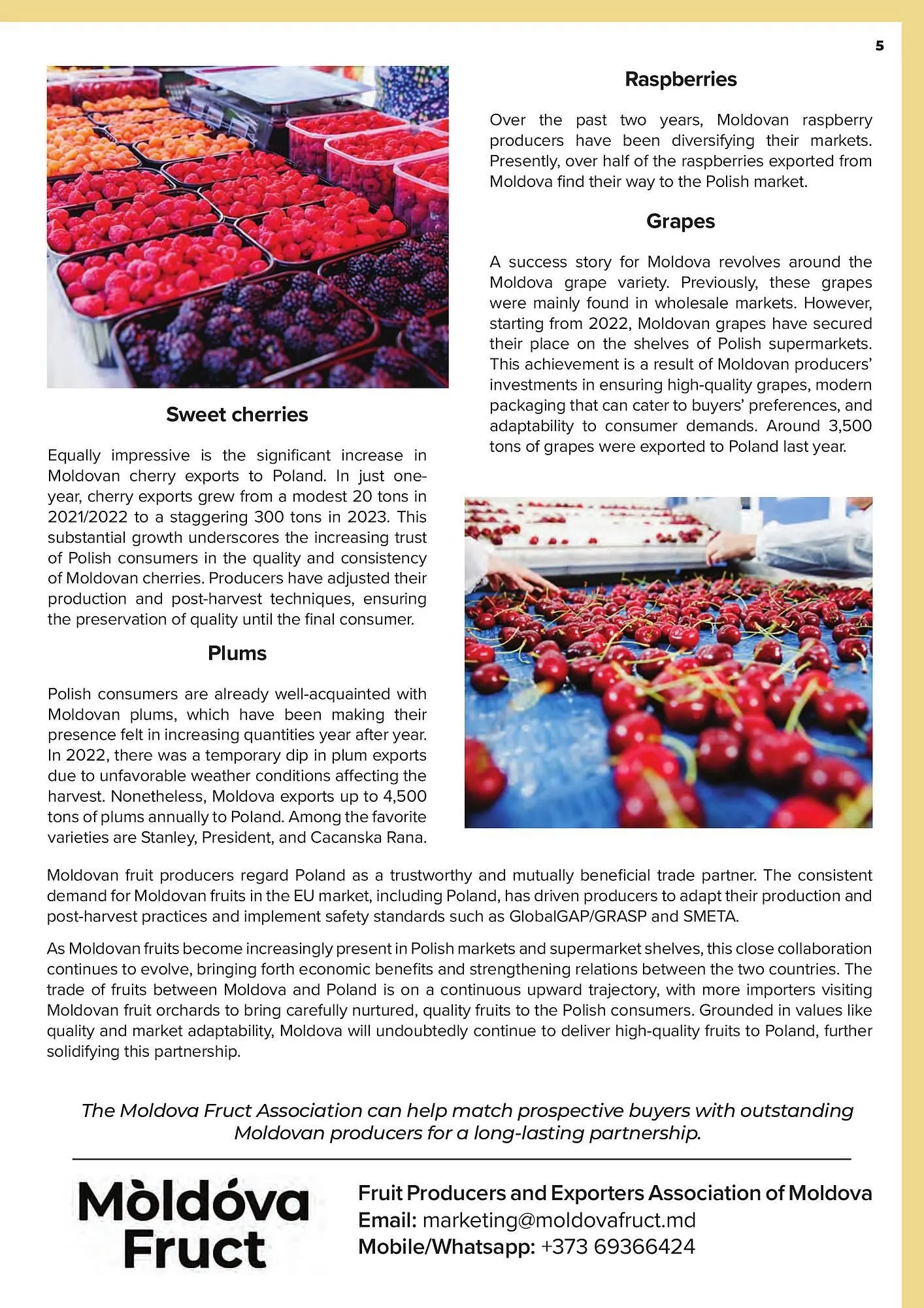 Gazetka Fresh-market gazetka od 1 grudnia do 31 maja 2024 - Strona 5