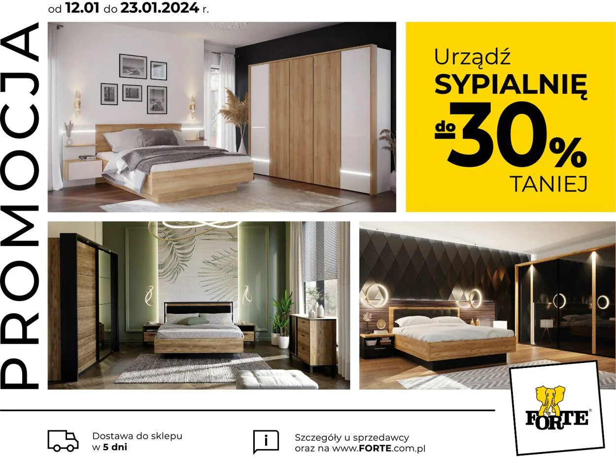 Gazetka Forte od 12 stycznia do 23 stycznia 2024 - Strona