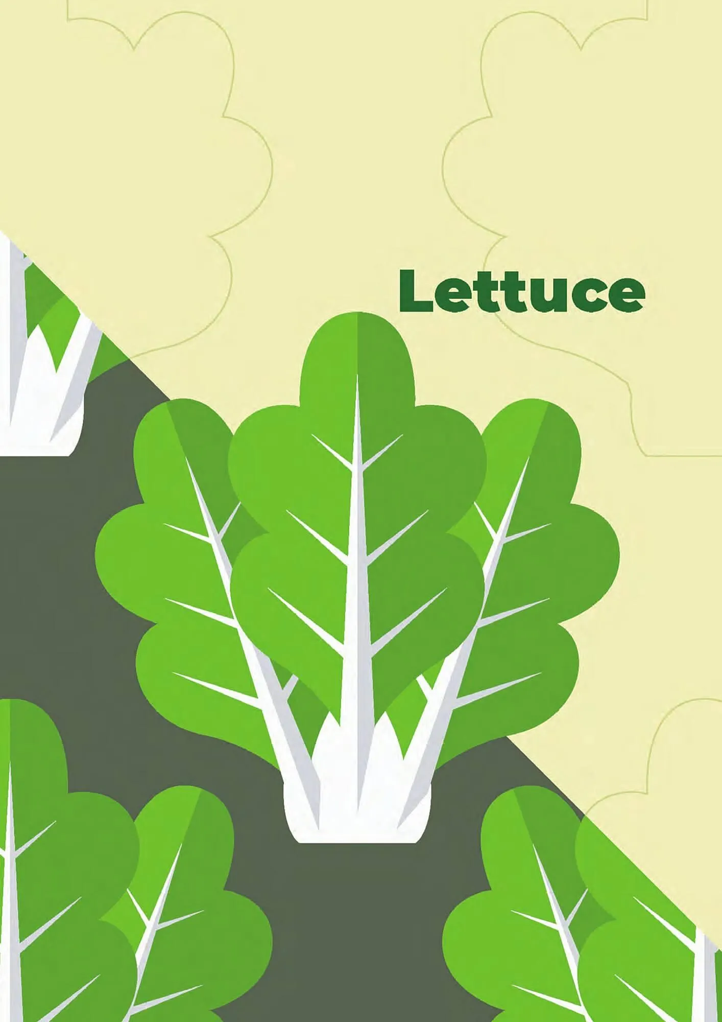 Gazetka Fresh-market gazetka od 1 grudnia do 31 maja 2024 - Strona 30