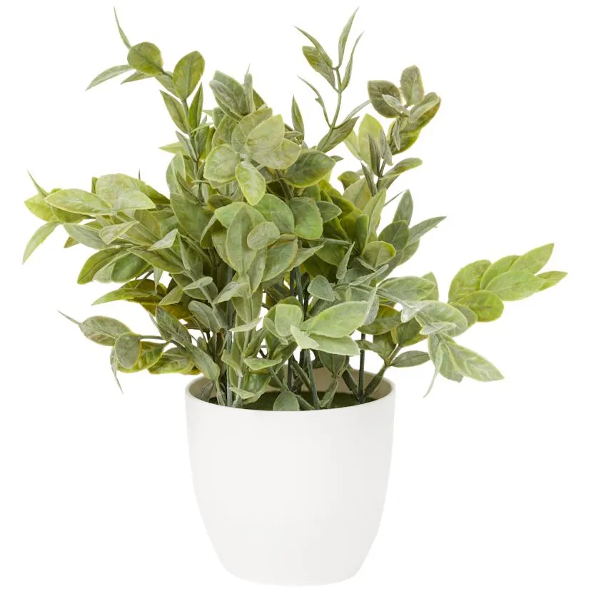 Zioła w doniczce Excellent Flowers