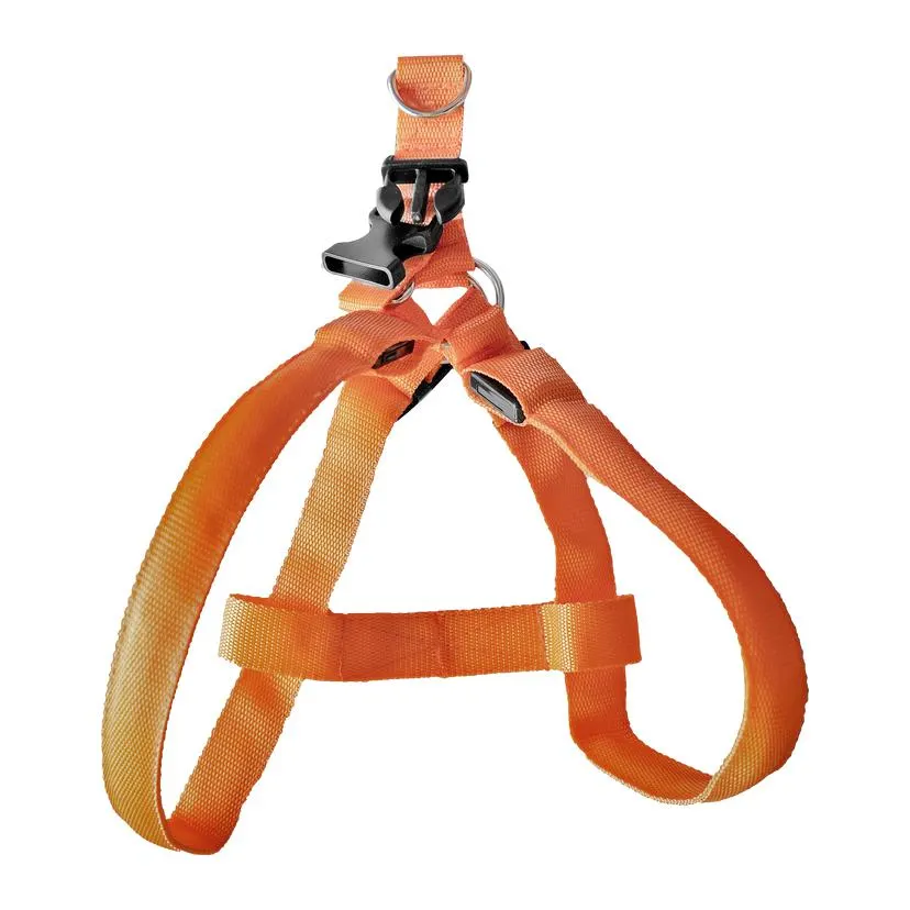 Szelki dla psa z lampą LED S