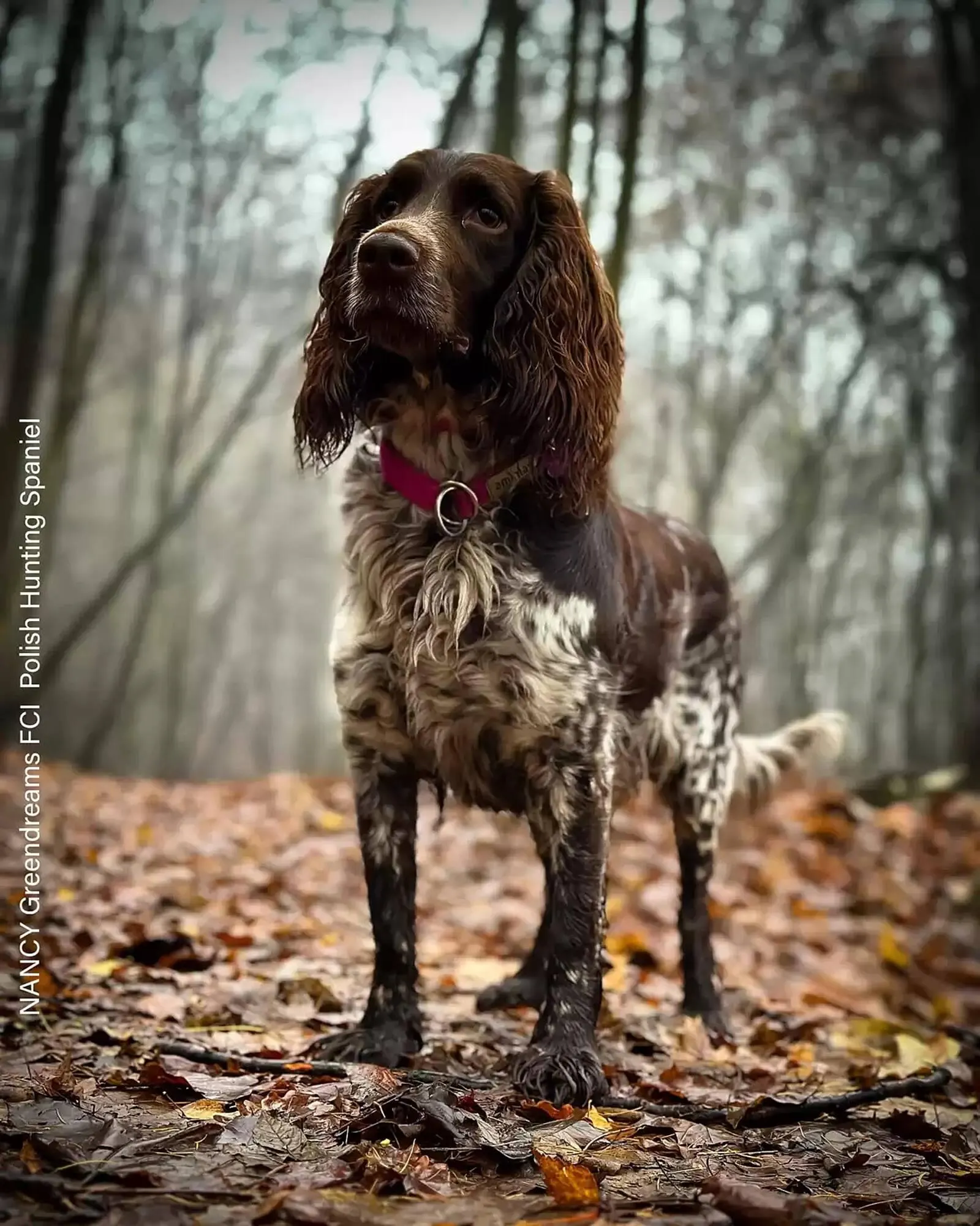 Gazetka Kakadu gazetka od 6 stycznia do 13 stycznia 2025 - Strona 2