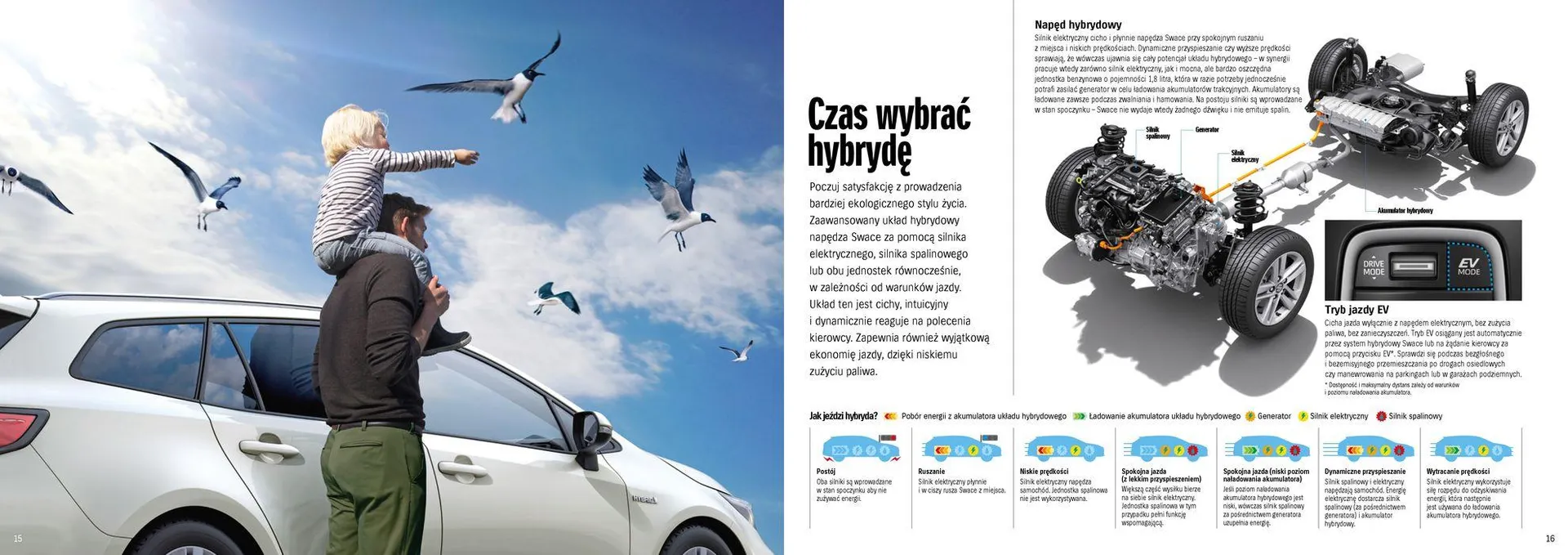 Gazetka Swace 2024 od 11 września do 31 stycznia 2025 - Strona 9