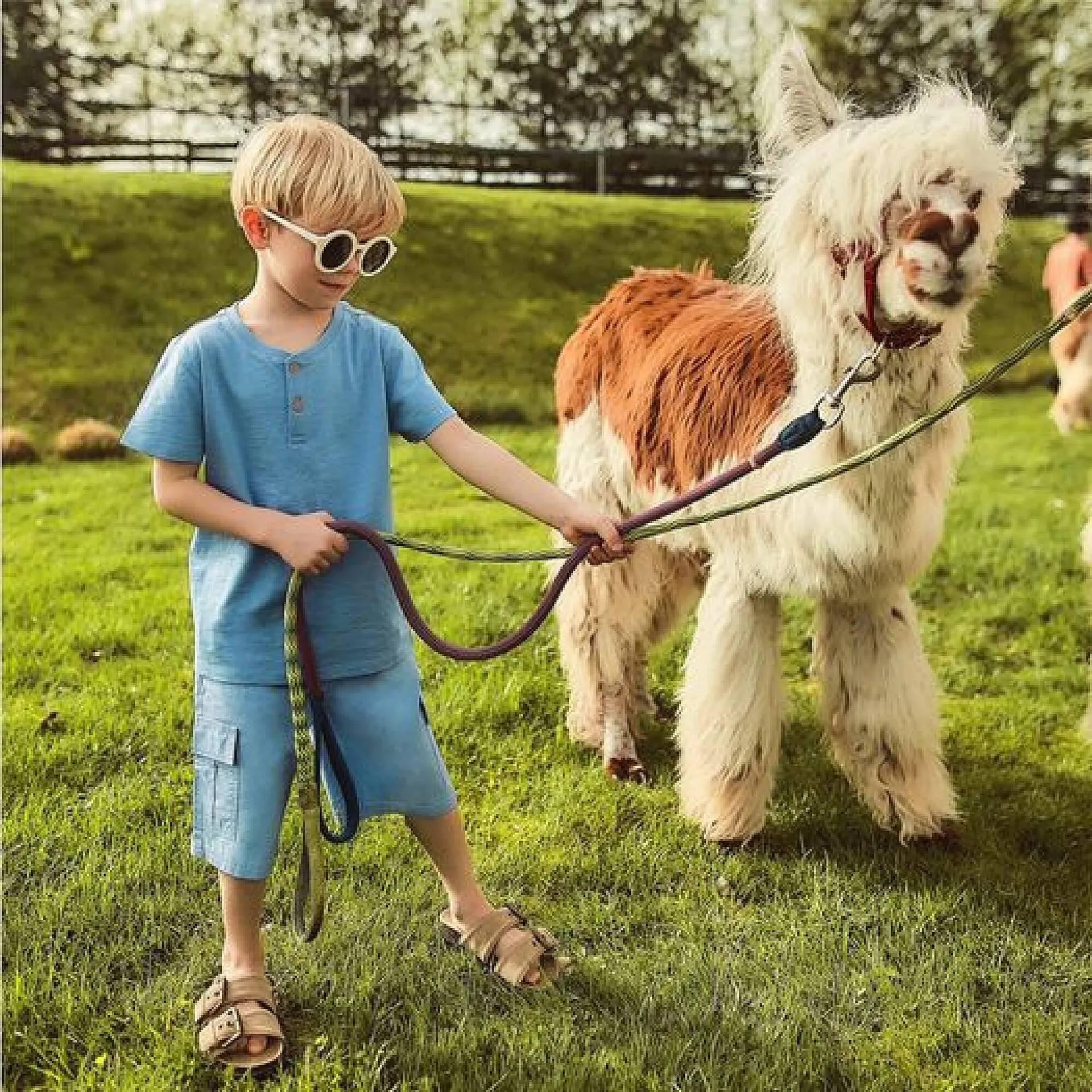 Gazetka 5.10.15. gazetka od 10 czerwca do 23 czerwca 2024 - Strona 5