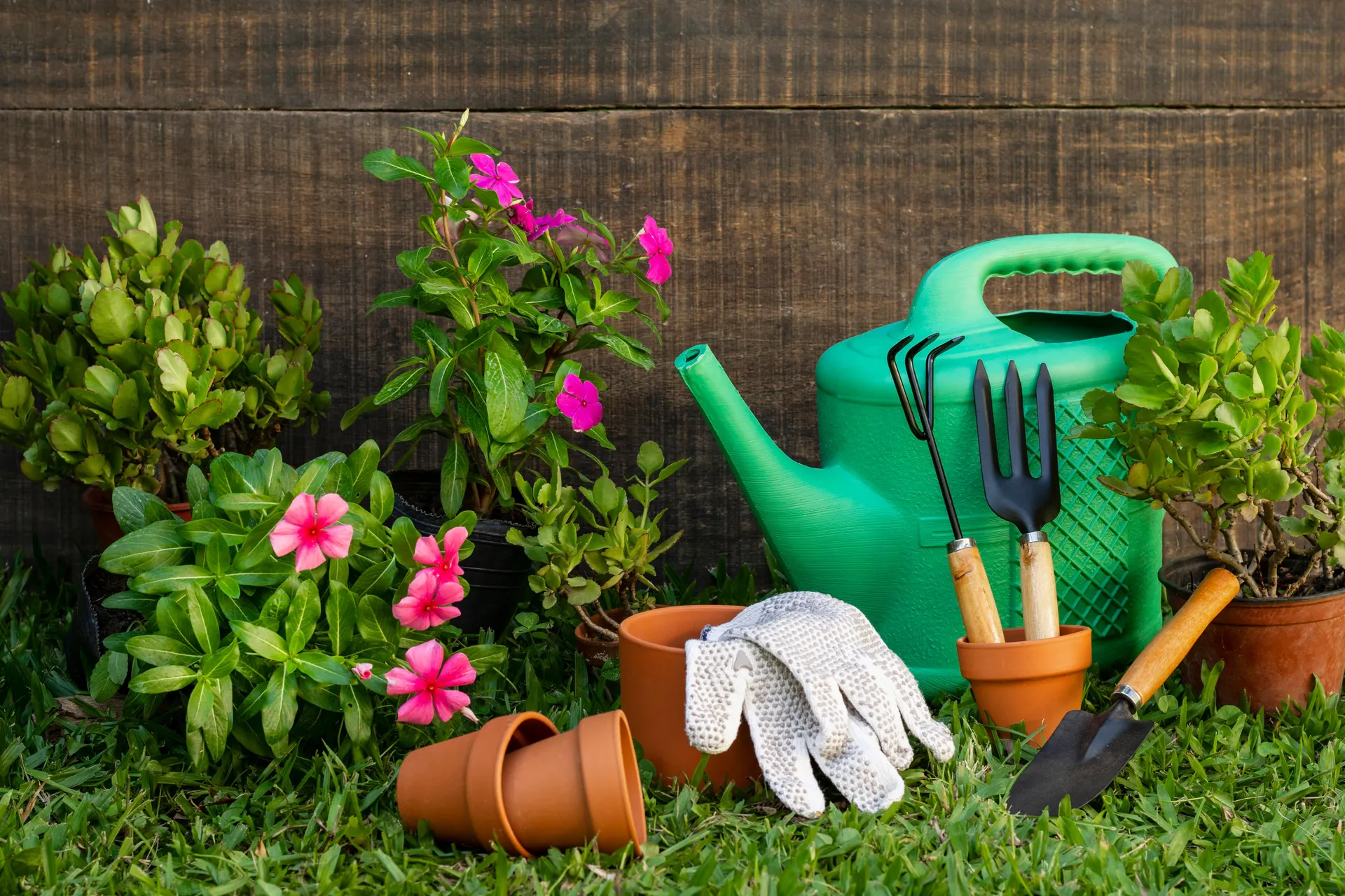 Arma tu kit básico de jardinería