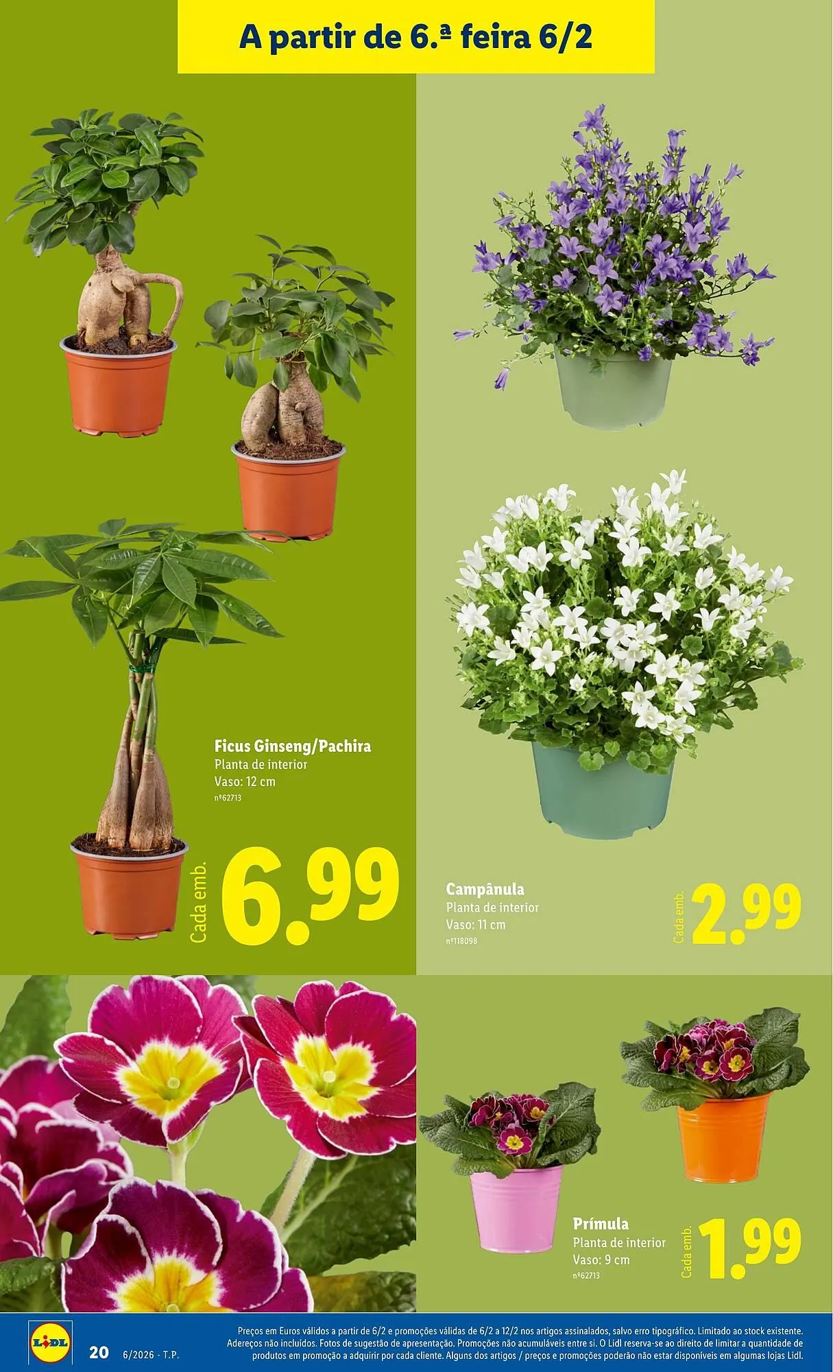 Folheto Folheto Lidl de 2 de fevereiro até 8 de fevereiro 2026 - Pagina 20