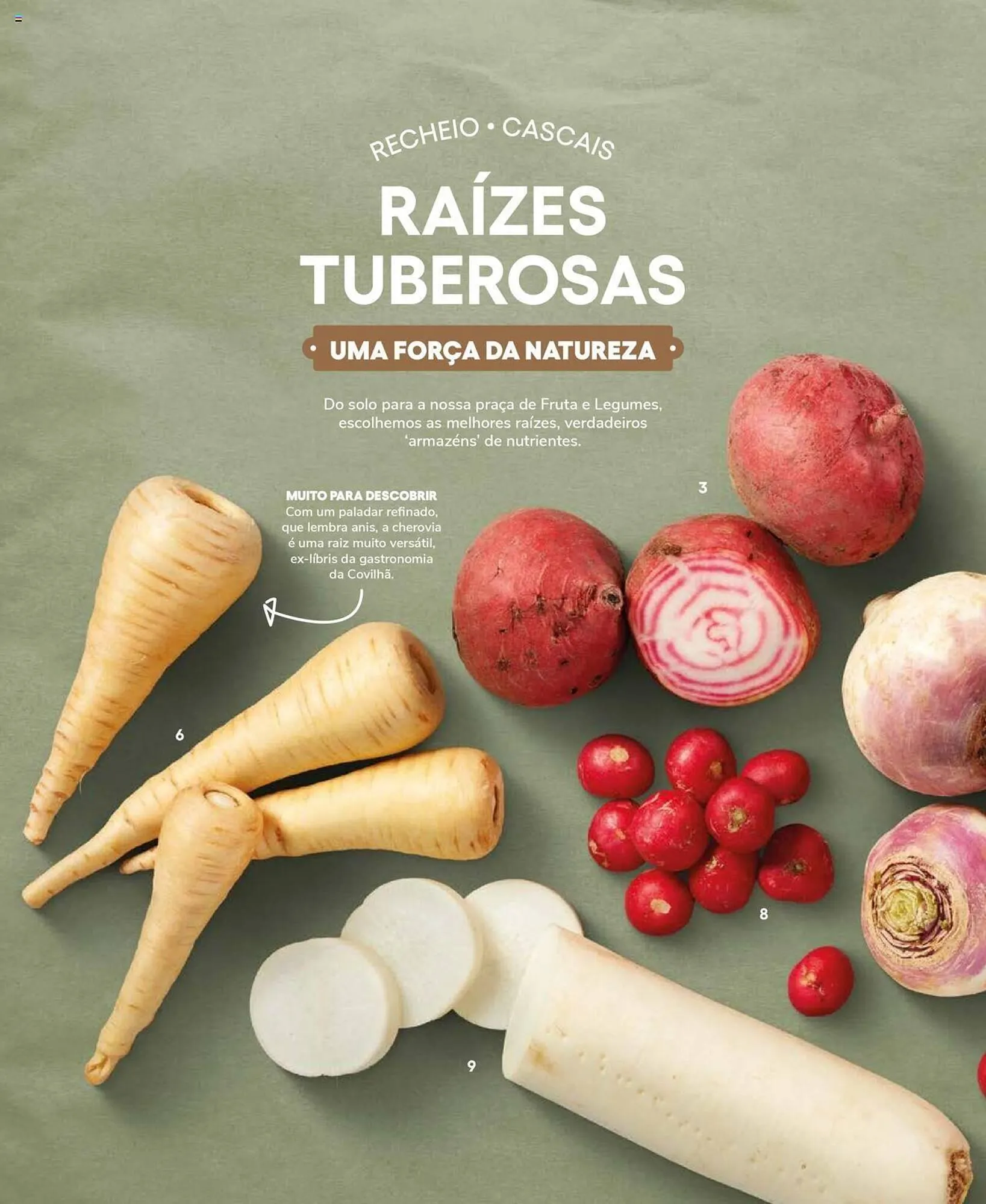 Folheto Folheto Recheio de 19 de setembro até 31 de dezembro 2025 - Pagina 26