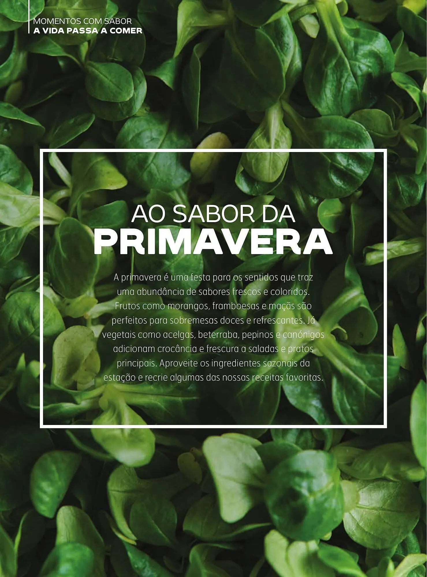 Folheto Folheto Continente de 8 de abril até 8 de julho 2025 - Pagina 27