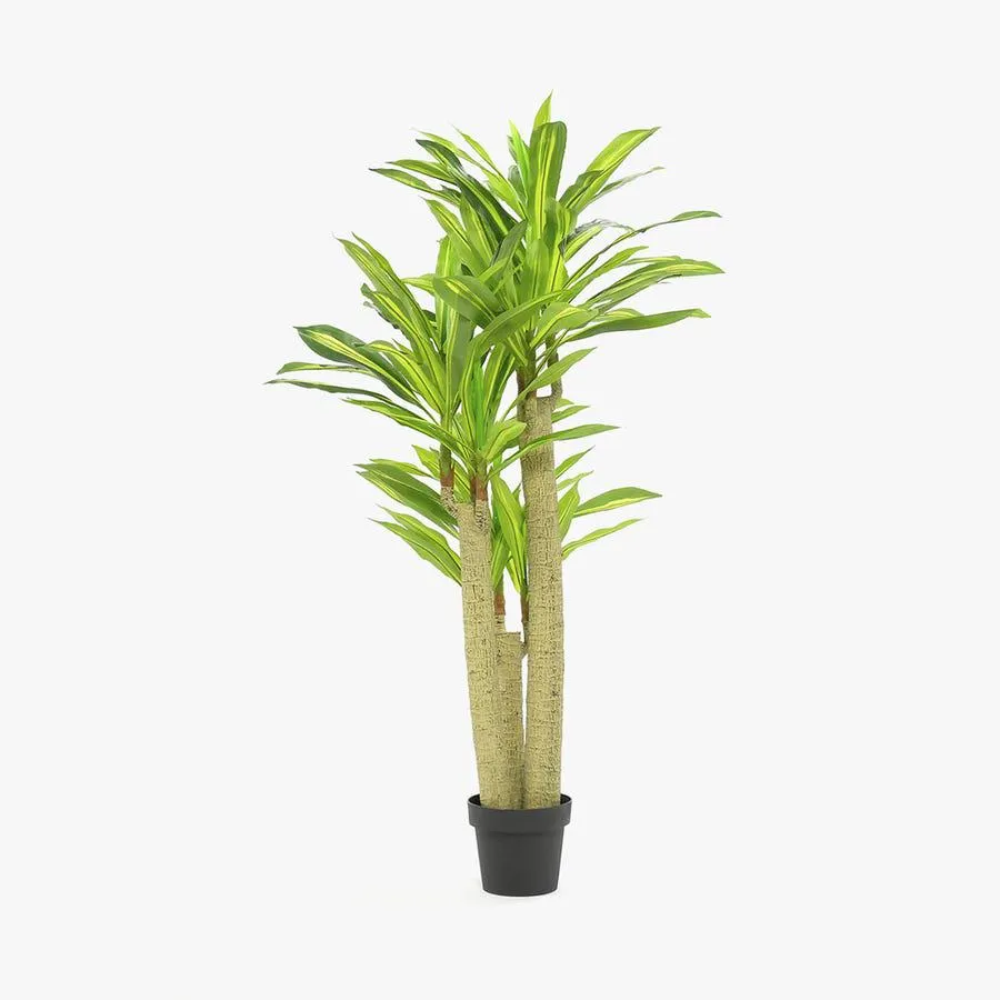 Planta artificial Dracaena 155cm ANORI