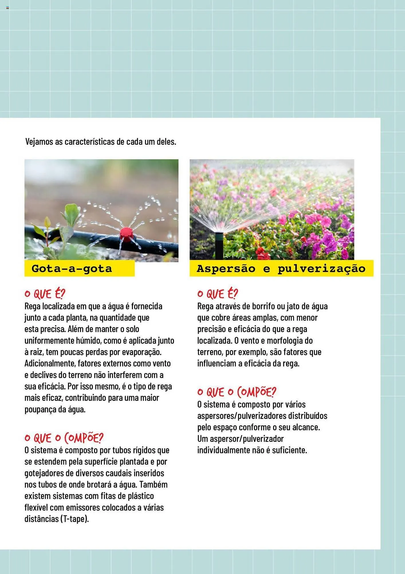 Folheto Folheto Bricomarché Rega de 17 de janeiro até 31 de dezembro 2024 - Pagina 5