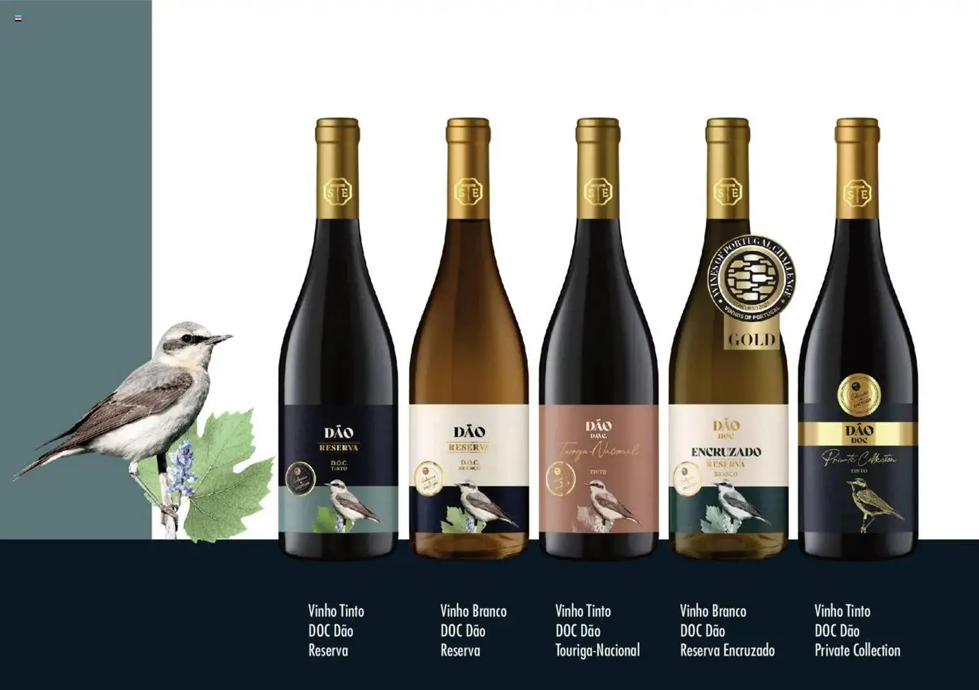 Folheto Folheto Intermarché de 11 de julho até 1 de setembro 2025 - Pagina 11