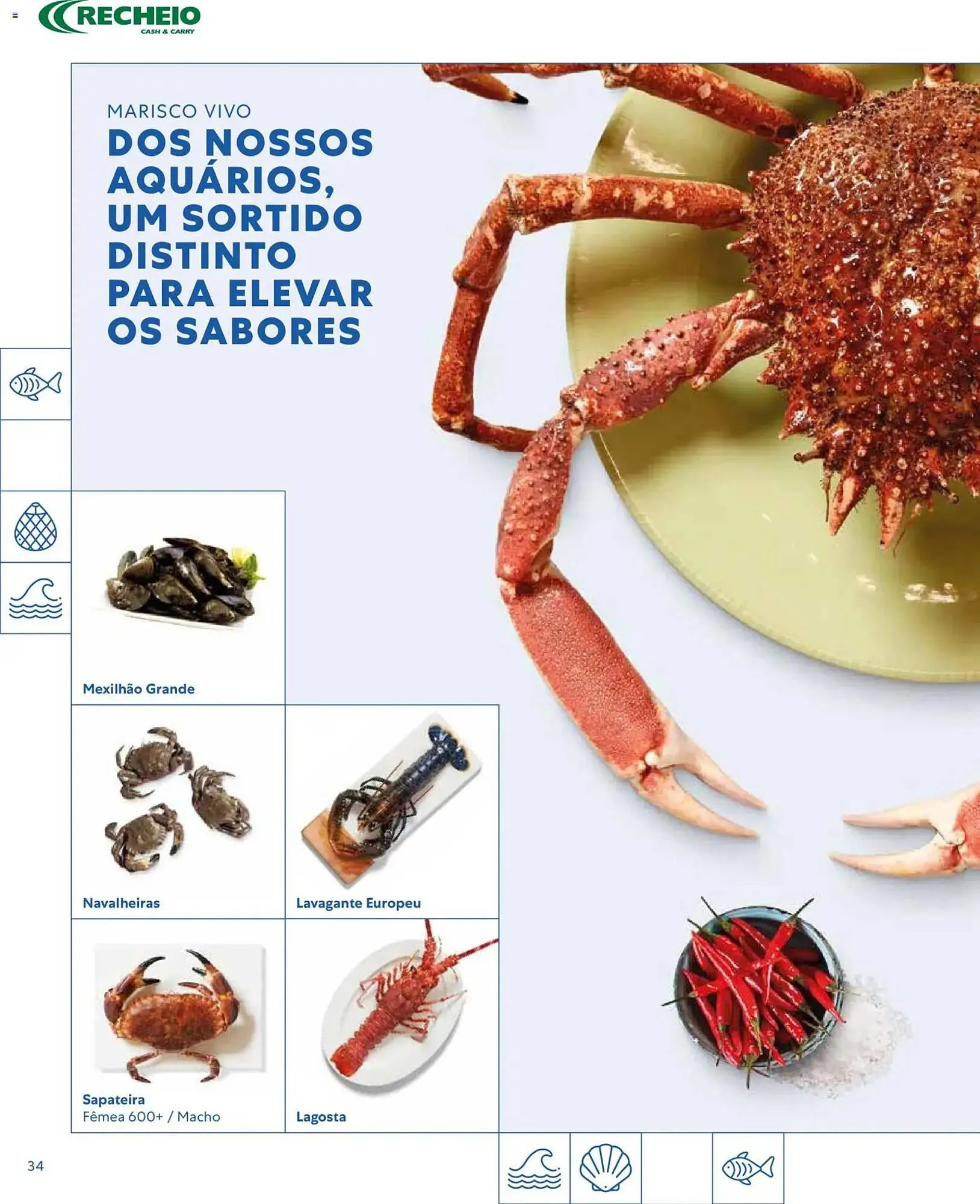 Folheto Folheto Recheio de 16 de março até 1 de janeiro 2027 - Pagina 34