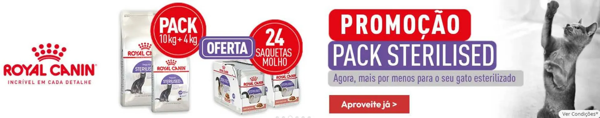 Folheto Folheto Kiwoko de 19 de dezembro até 7 de janeiro 2026 - Pagina 2