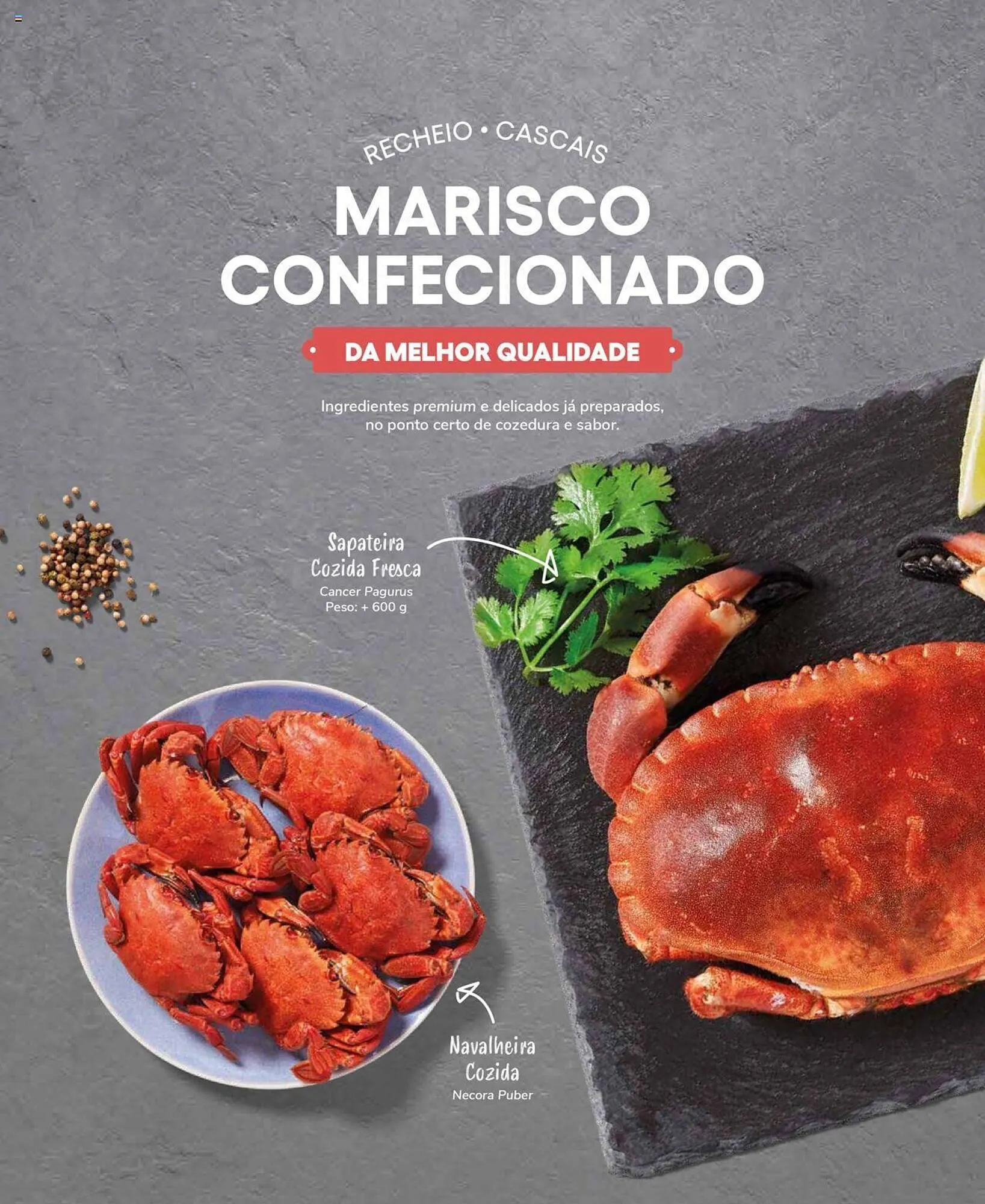 Folheto Folheto Recheio de 19 de setembro até 31 de dezembro 2025 - Pagina 28