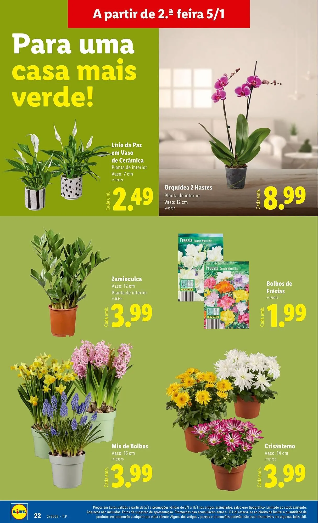 Folheto Folheto Lidl de 5 de janeiro até 11 de janeiro 2026 - Pagina 22