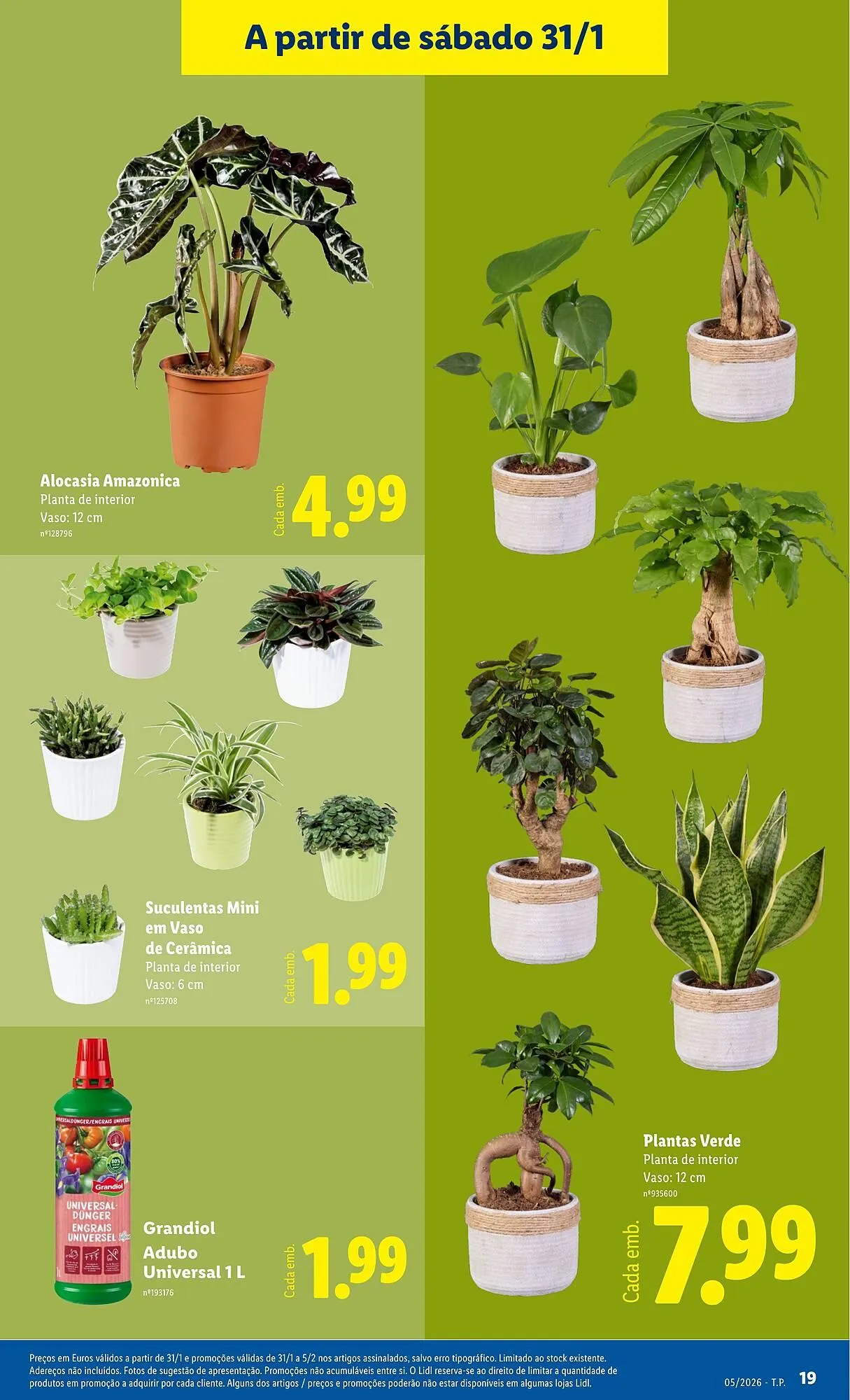 Folheto Folheto Lidl de 26 de janeiro até 1 de fevereiro 2026 - Pagina 19