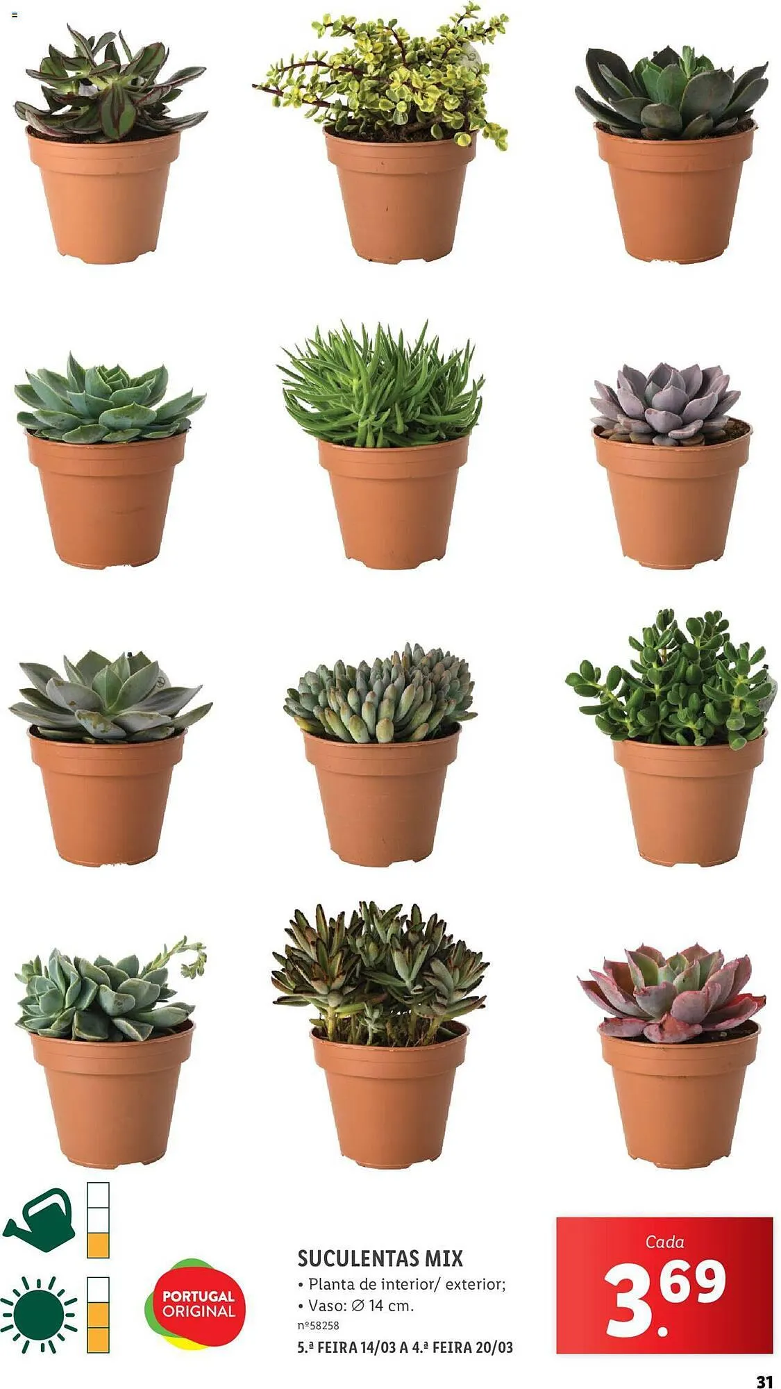 Folheto Folheto Lidl de 4 de março até 31 de março 2024 - Pagina 31