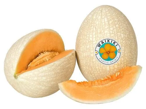 melão waikiki kg