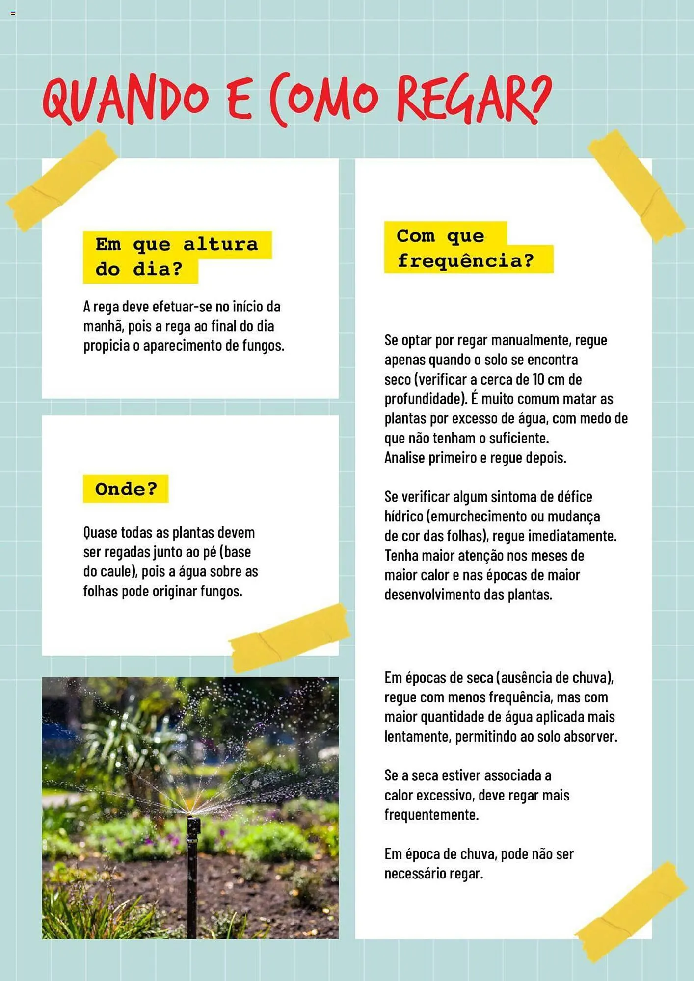 Folheto Folheto Bricomarché Rega de 17 de janeiro até 31 de dezembro 2024 - Pagina 3