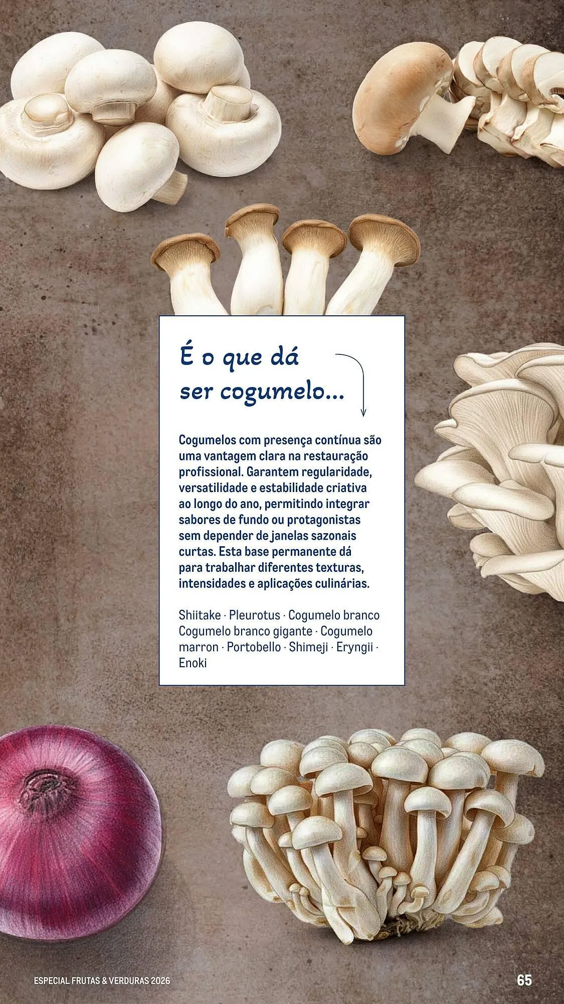 Folheto Catálogo Makro de 6 de março até 25 de abril 2026 - Pagina 65