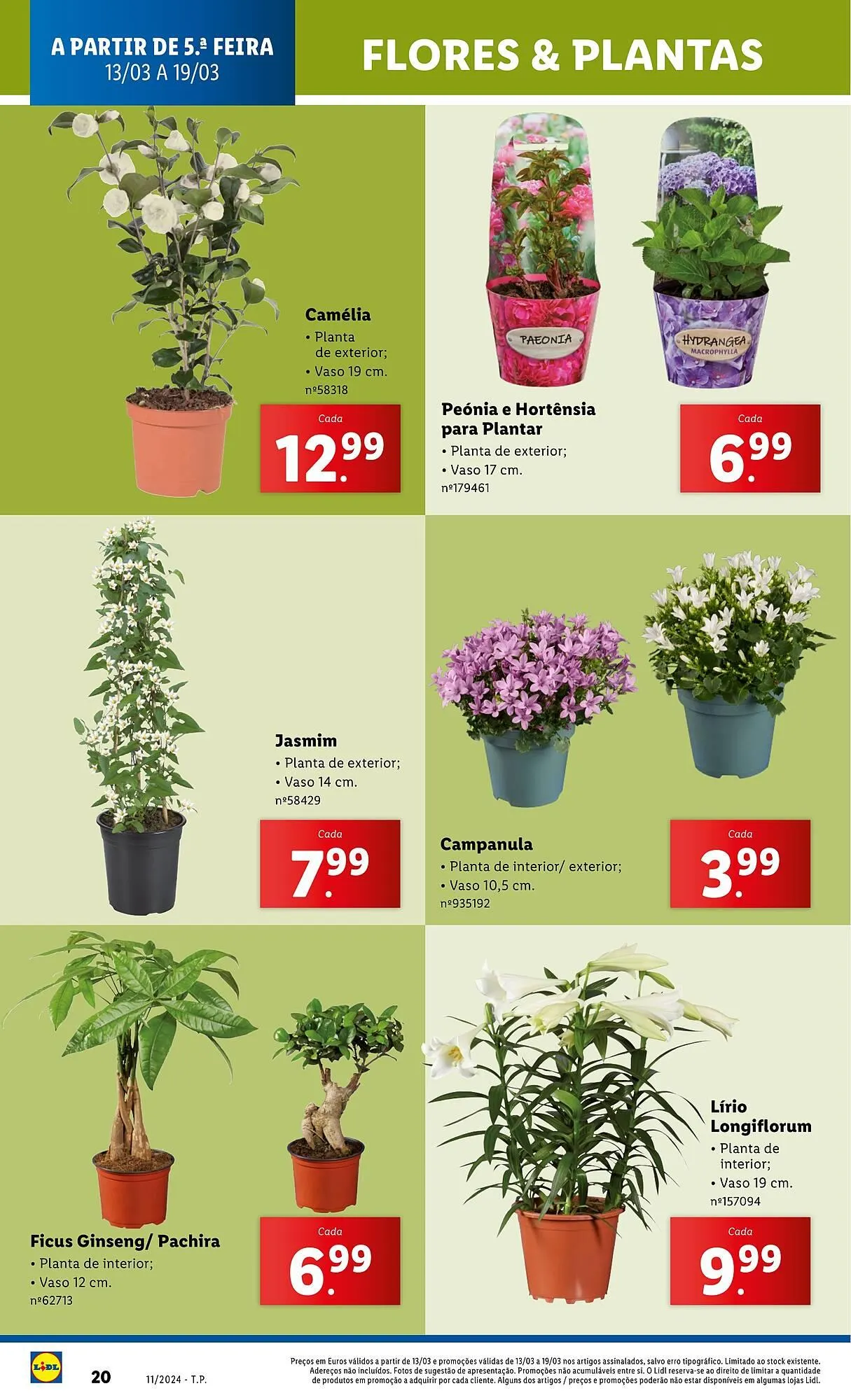 Folheto Folheto Lidl de 13 de março até 19 de março 2025 - Pagina 20