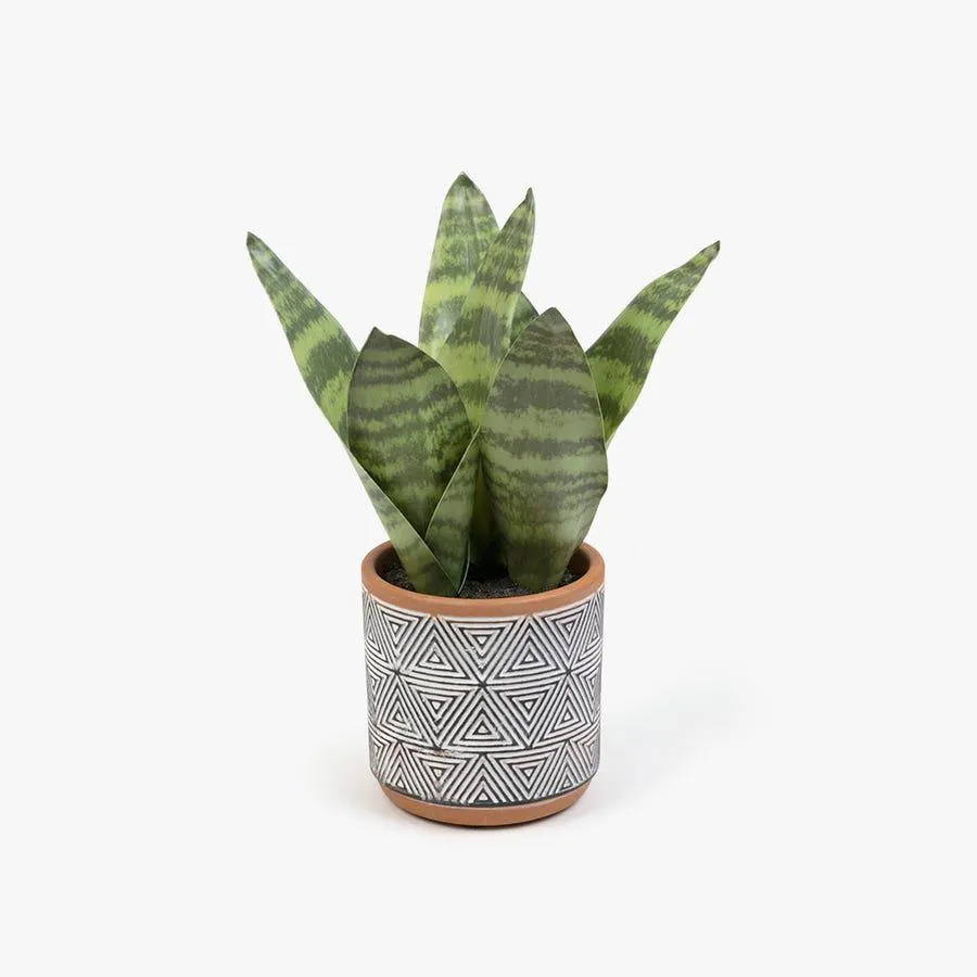 Planta artificial sansevieria 23cm THAR
