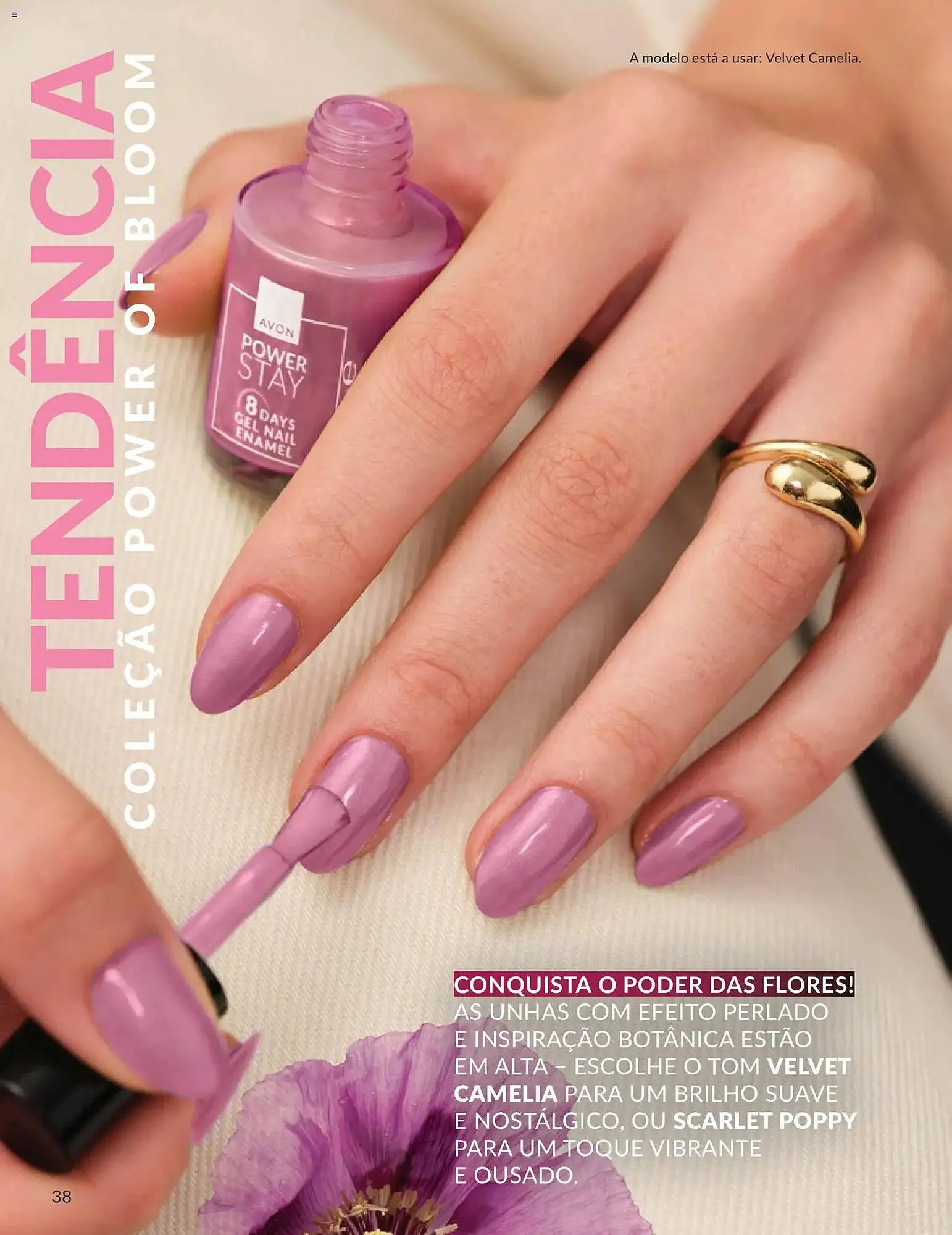 Folheto Catálogo Avon de 1 de maio até 31 de maio 2026 - Pagina 38