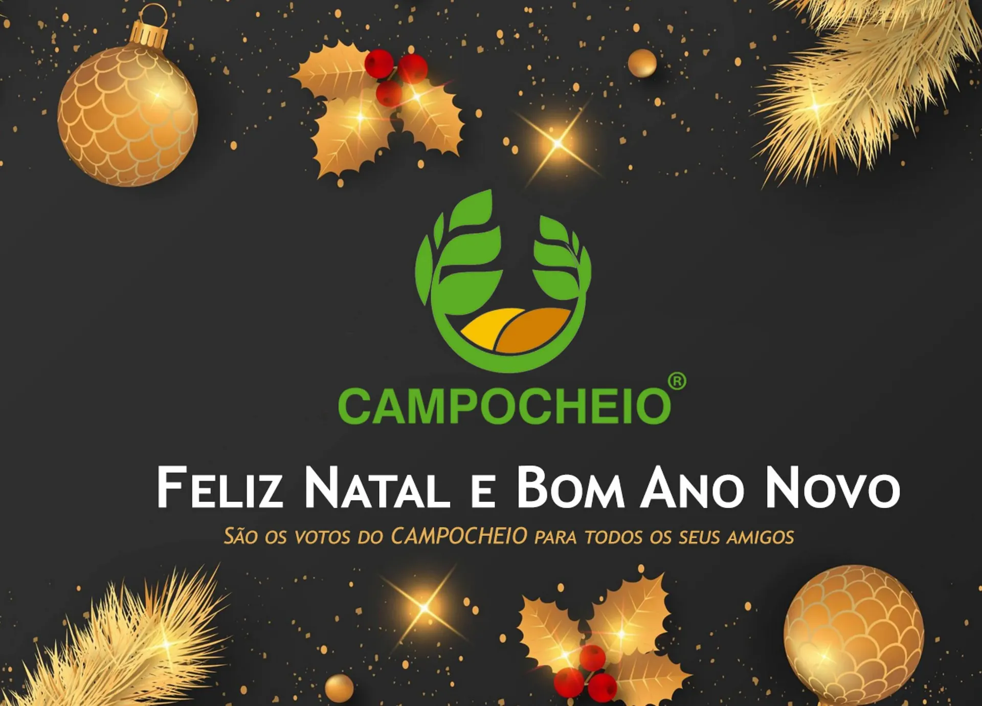 Folheto Folheto CAMPOCHEIO de 26 de dezembro até 2 de janeiro 2024 - Pagina