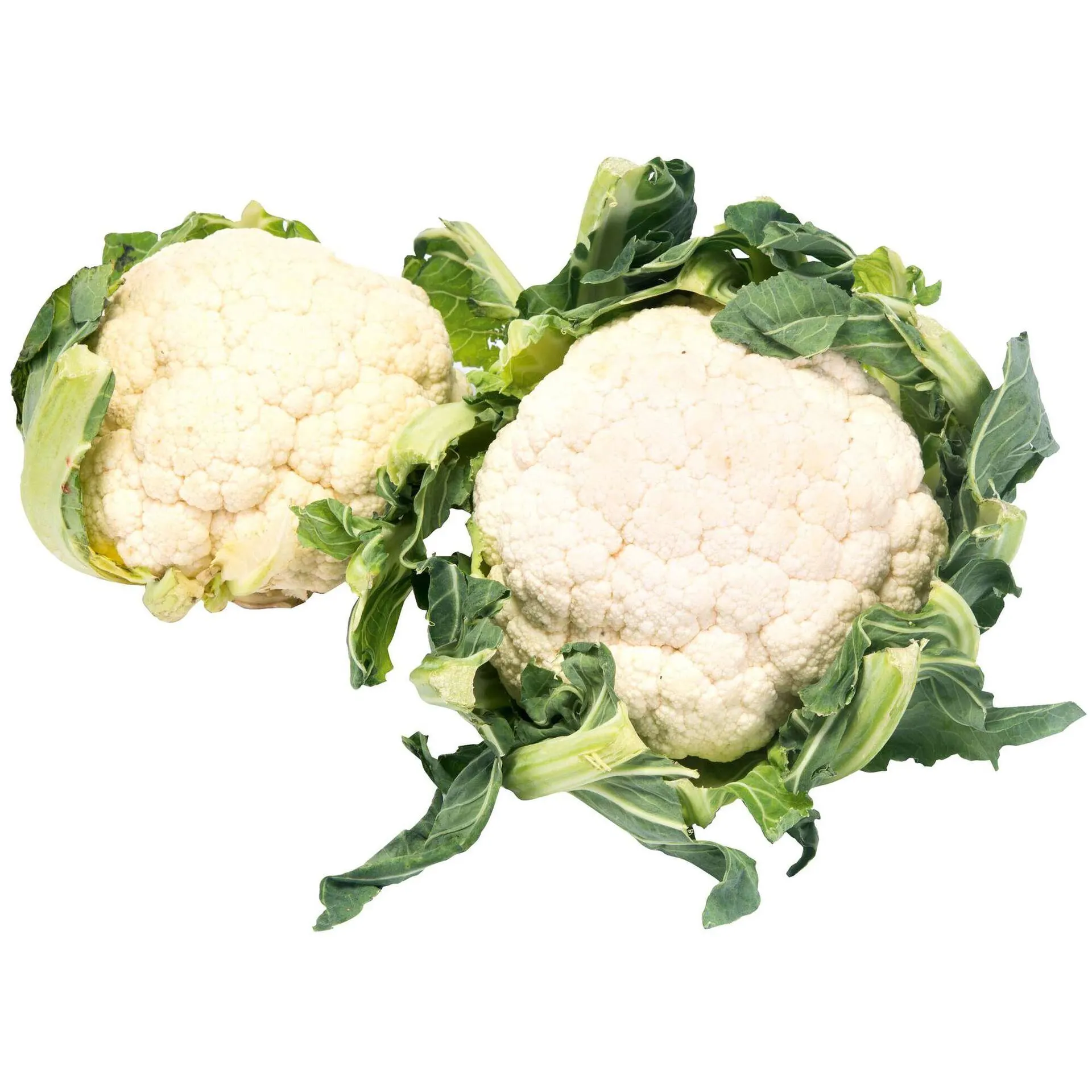 Couve Flor