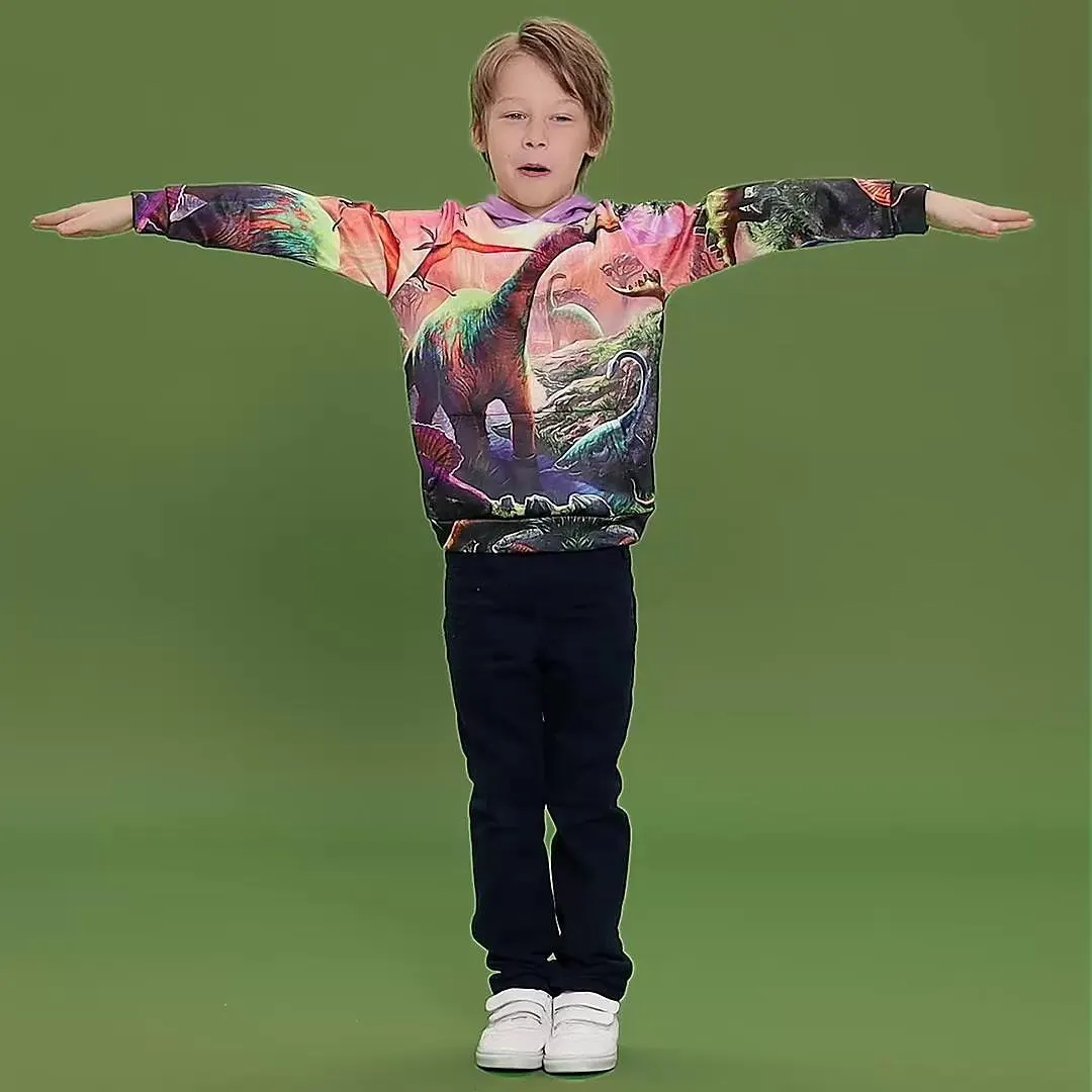 Kinderen Peuter Jongens Hoodie en sweatshirt Pullover Lange mouw Dinosaurus 3D-afdrukken Grafisch Kleurenblok Uniseks blauw Geel Leger Groen Kinderen Tops Actief Street chic 3-12 jaar