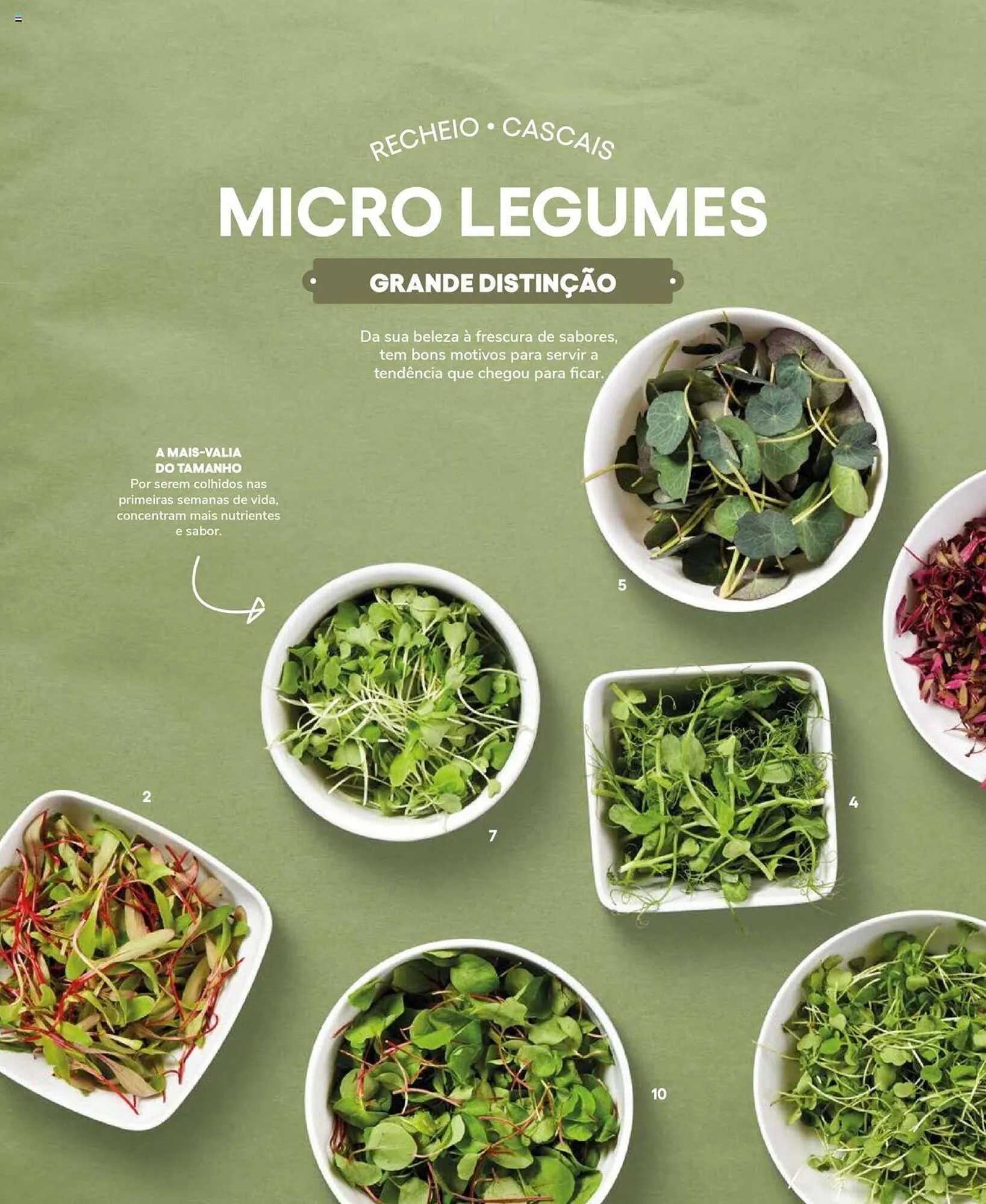 Folheto Folheto Recheio de 19 de setembro até 31 de dezembro 2025 - Pagina 50